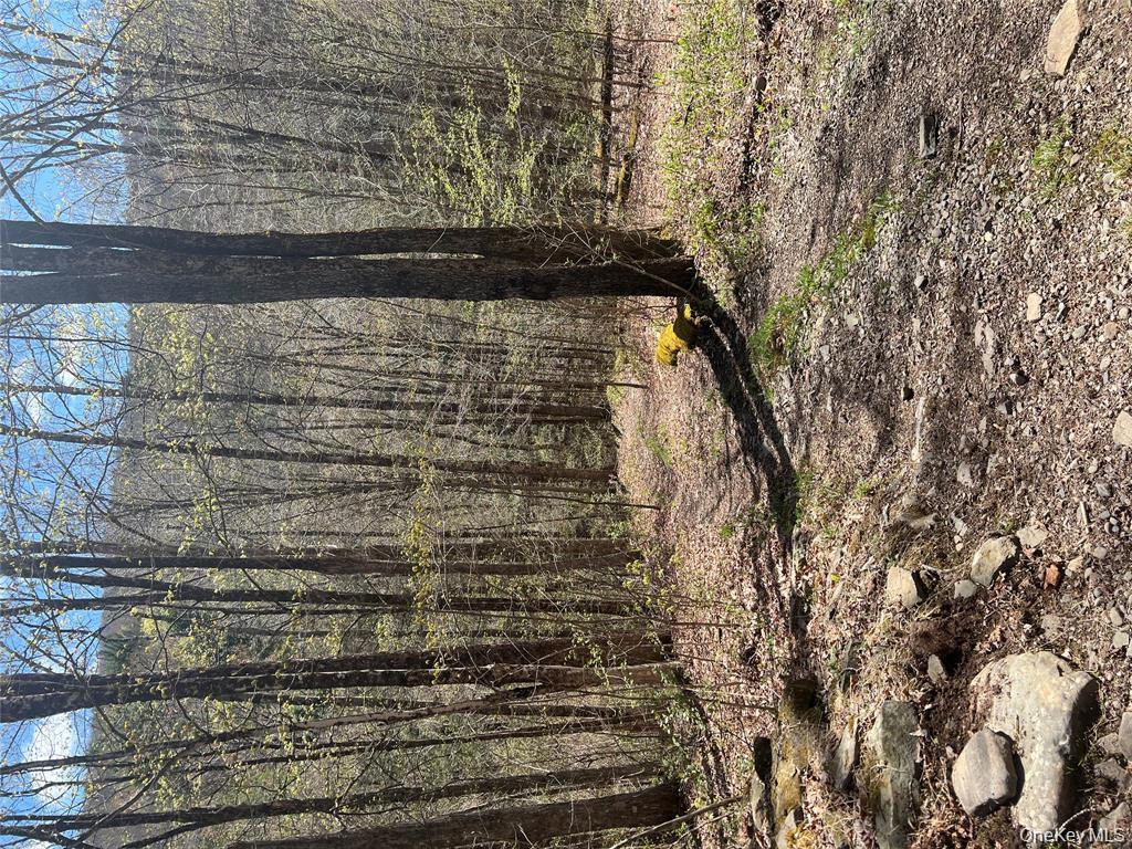 1042 Huntley Hollow Road, Delancey, NY 13752