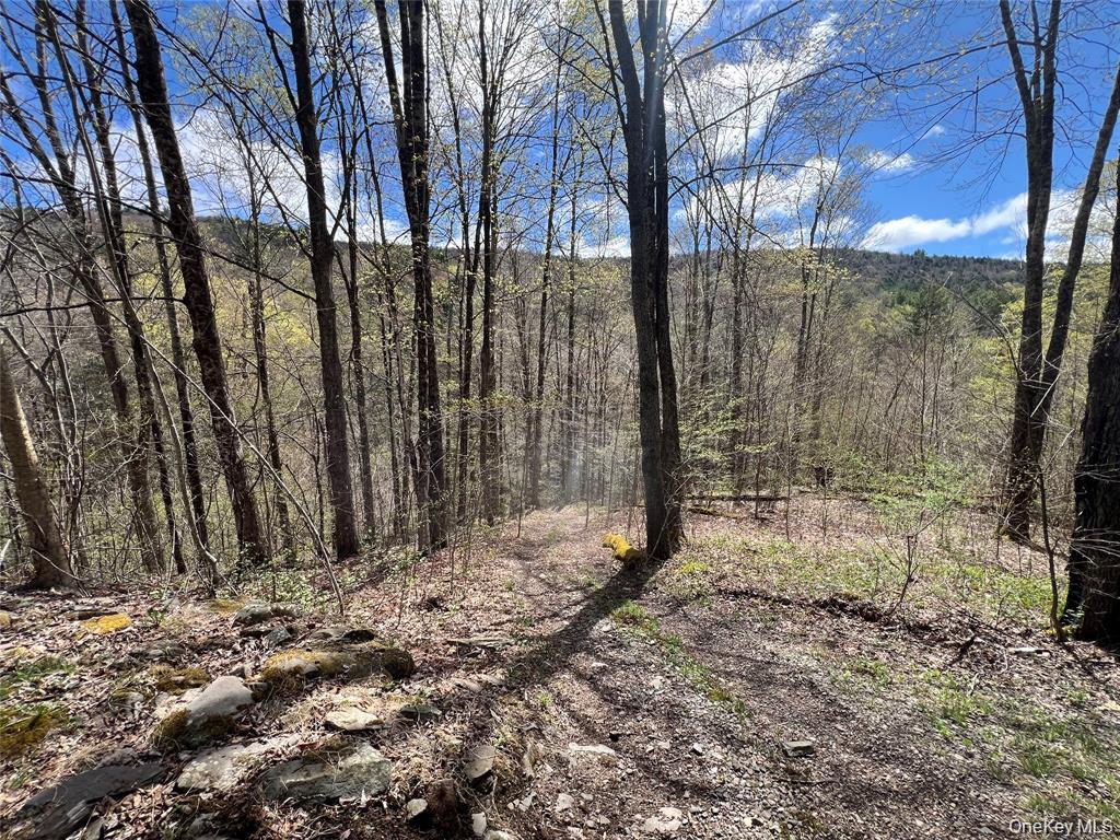 1042 Huntley Hollow Road, Delancey, NY 13752