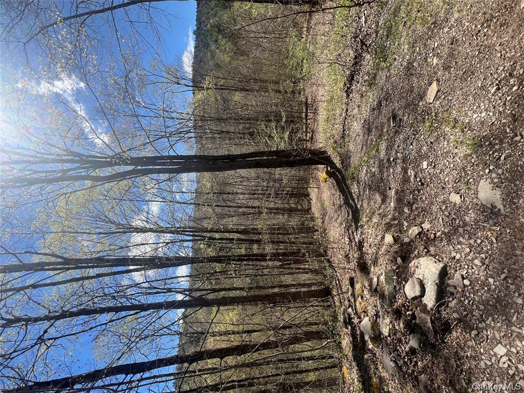 1042 Huntley Hollow Road, Delancey, NY 13752