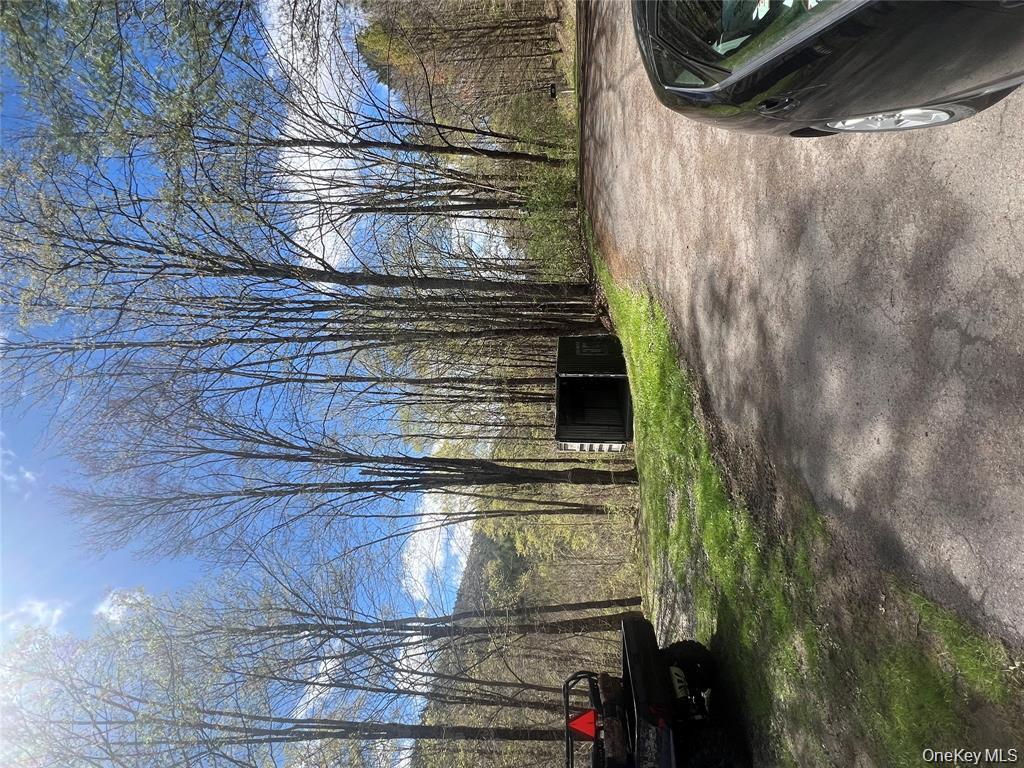 1042 Huntley Hollow Road, Delancey, NY 13752