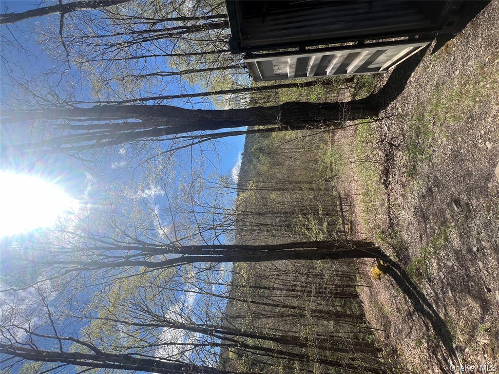 1042 Huntley Hollow Road, Delancey, NY 13752