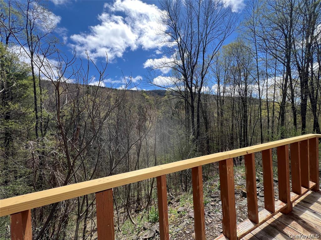 1042 Huntley Hollow Road, Delancey, NY 13752