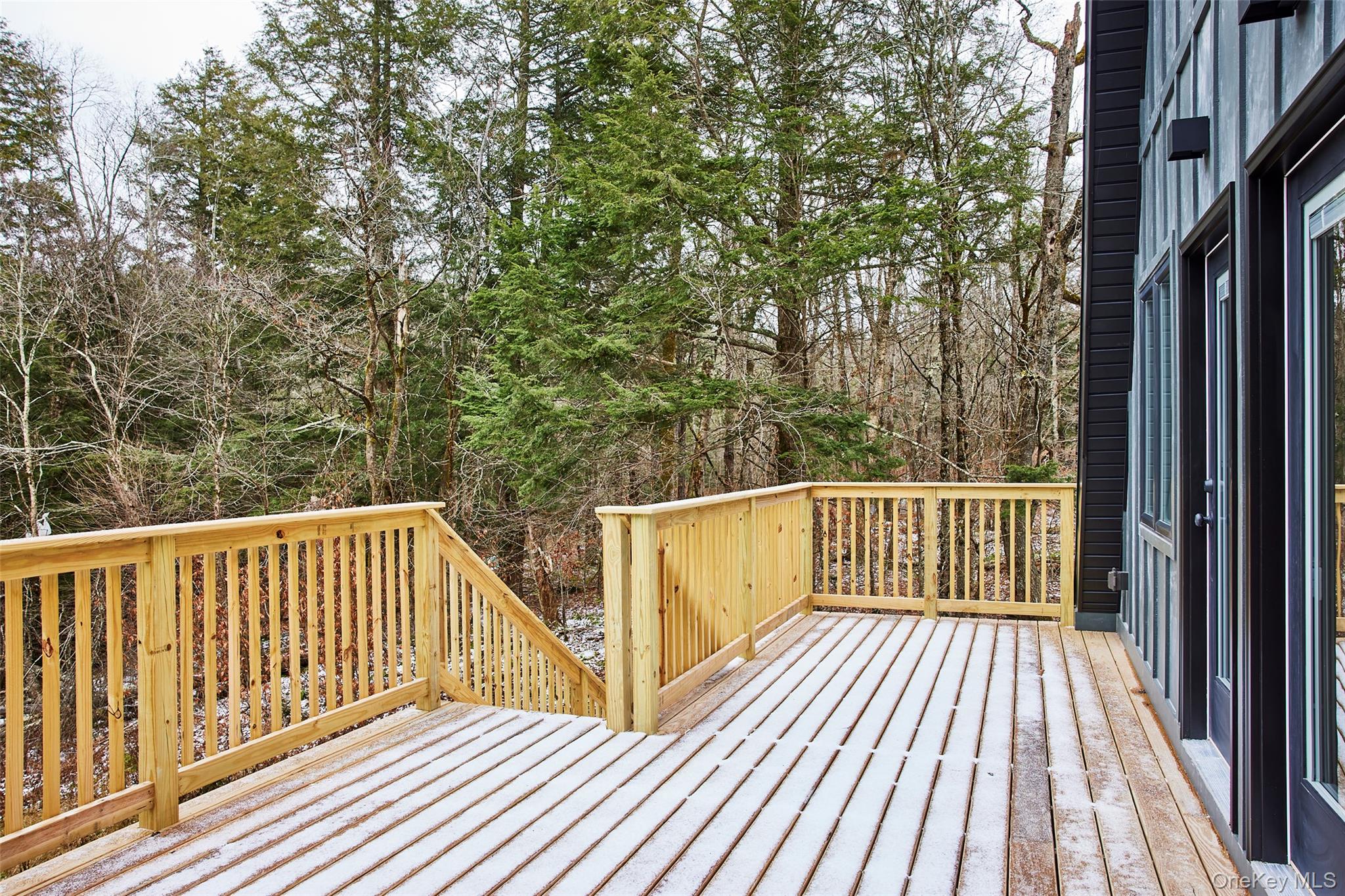 343 Dahlia Road, Livingston Manor, NY 12758