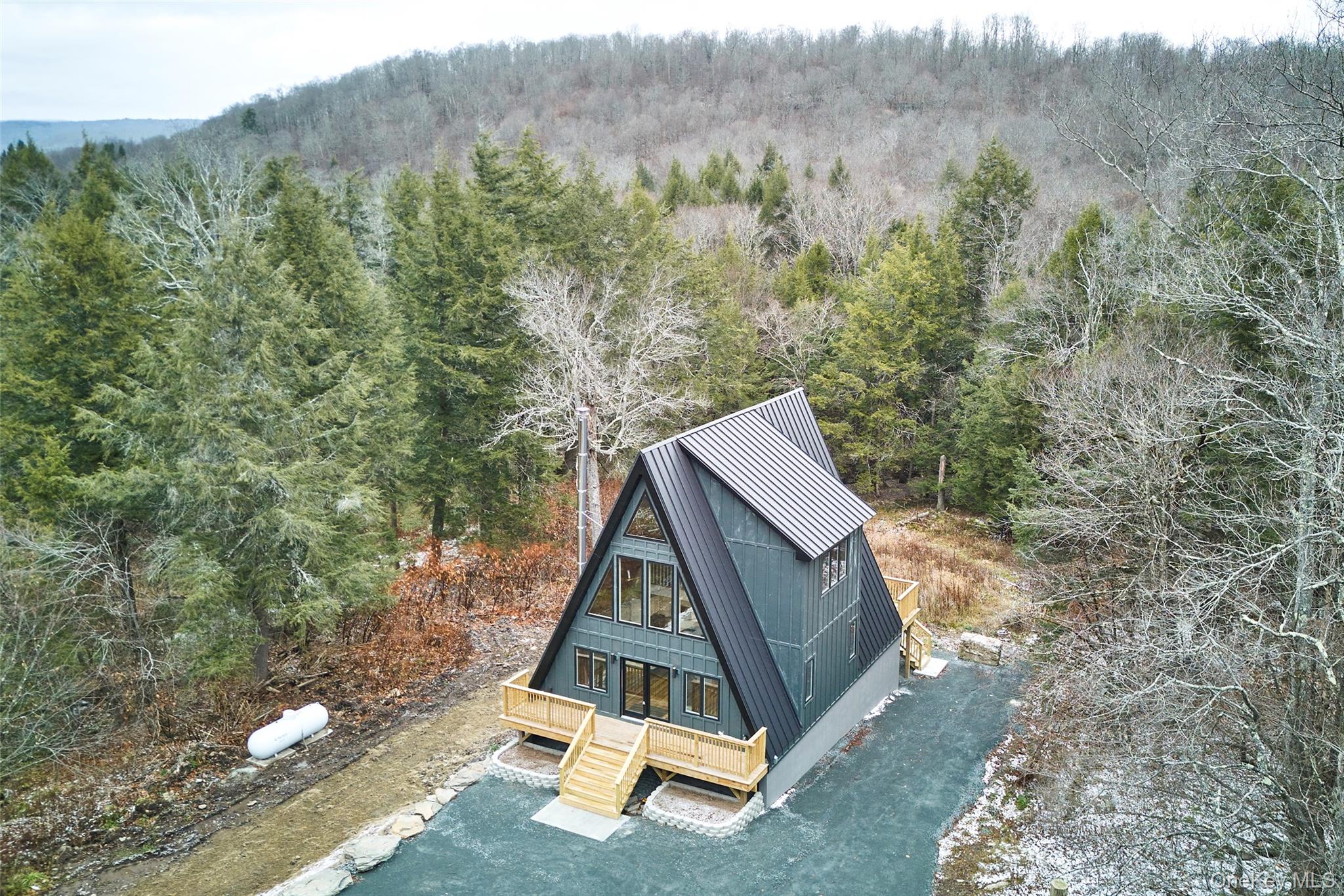 343 Dahlia Road, Livingston Manor, NY 12758