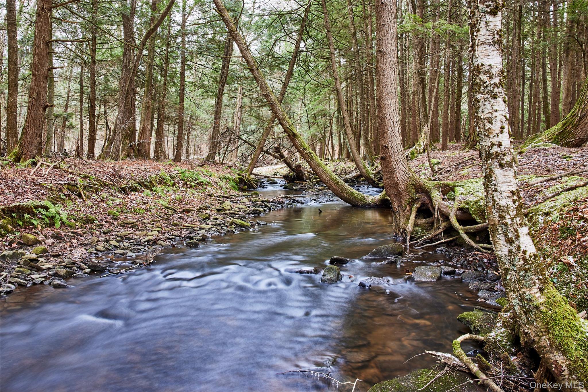 343 Dahlia Road, Livingston Manor, NY 12758