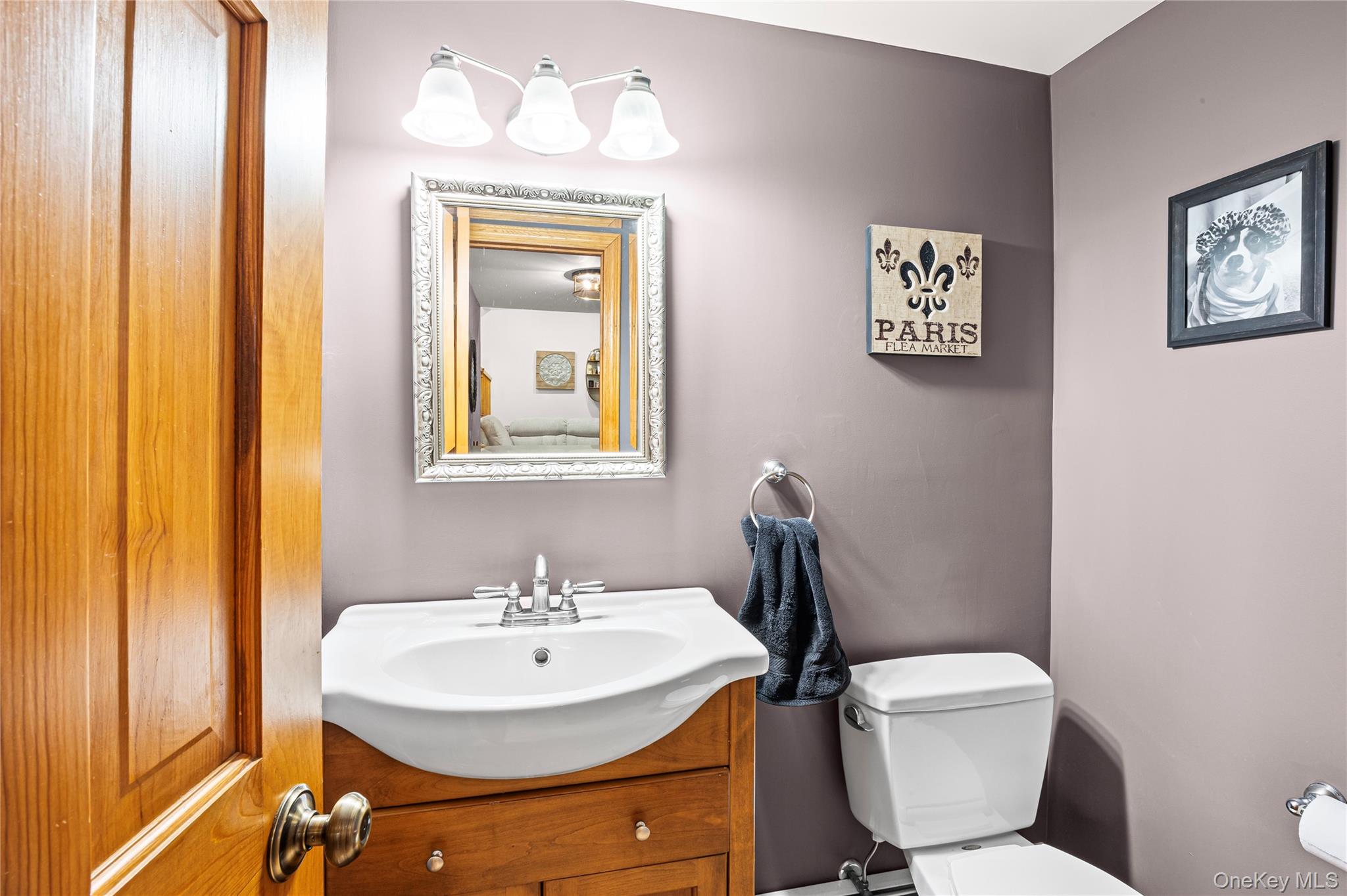 1734 Roberta Lane, Merrick, NY 11566