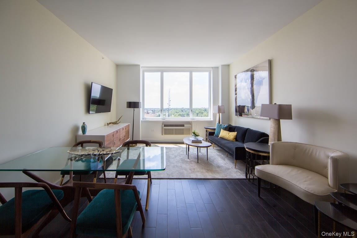 1 Third # 1125, Mineola, NY 11501