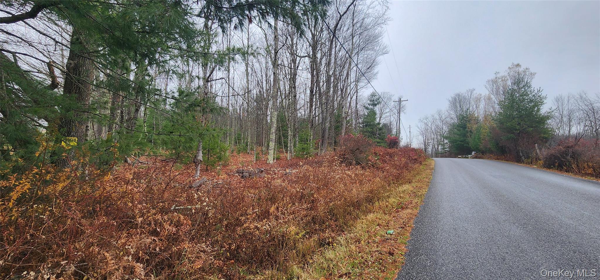 Thompson Road, Thompsonville, NY 12784