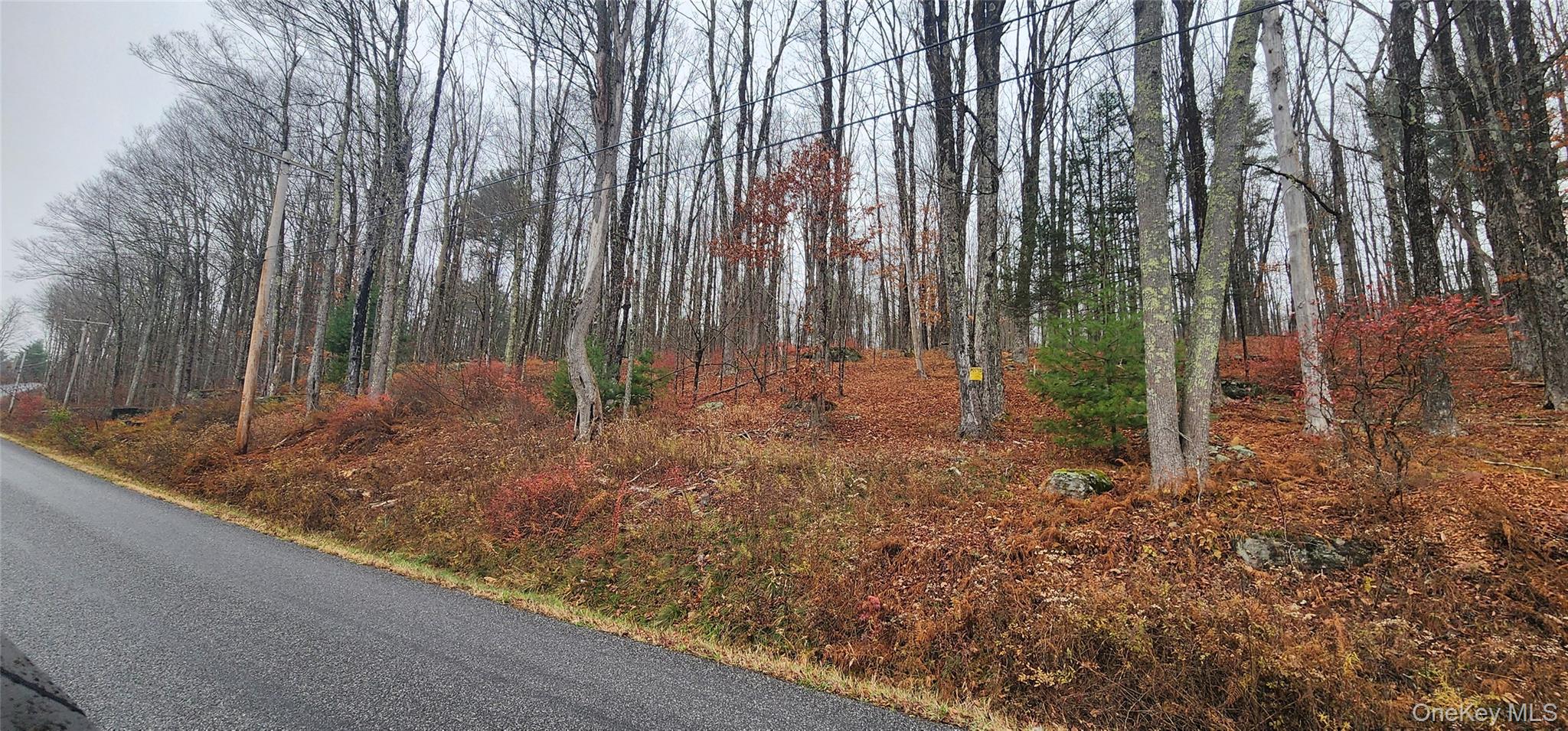 Thompson Road, Thompsonville, NY 12784