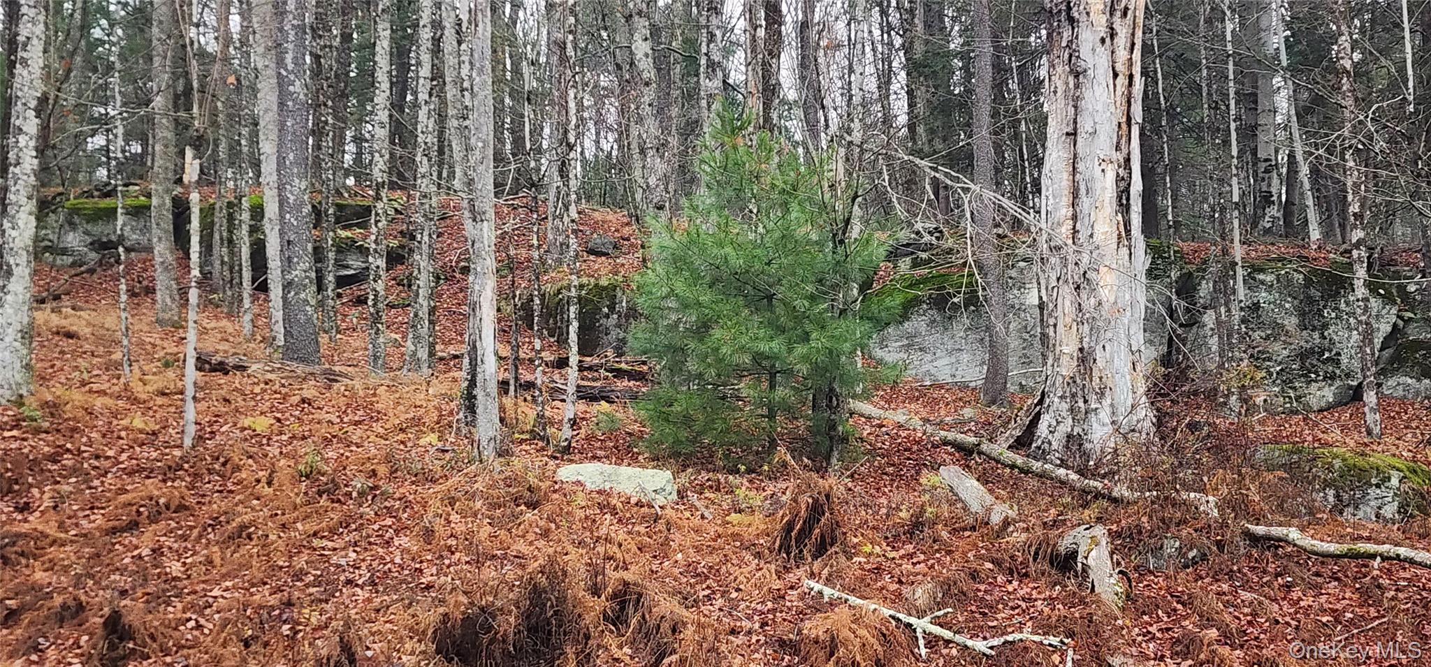 Thompson Road, Thompsonville, NY 12784