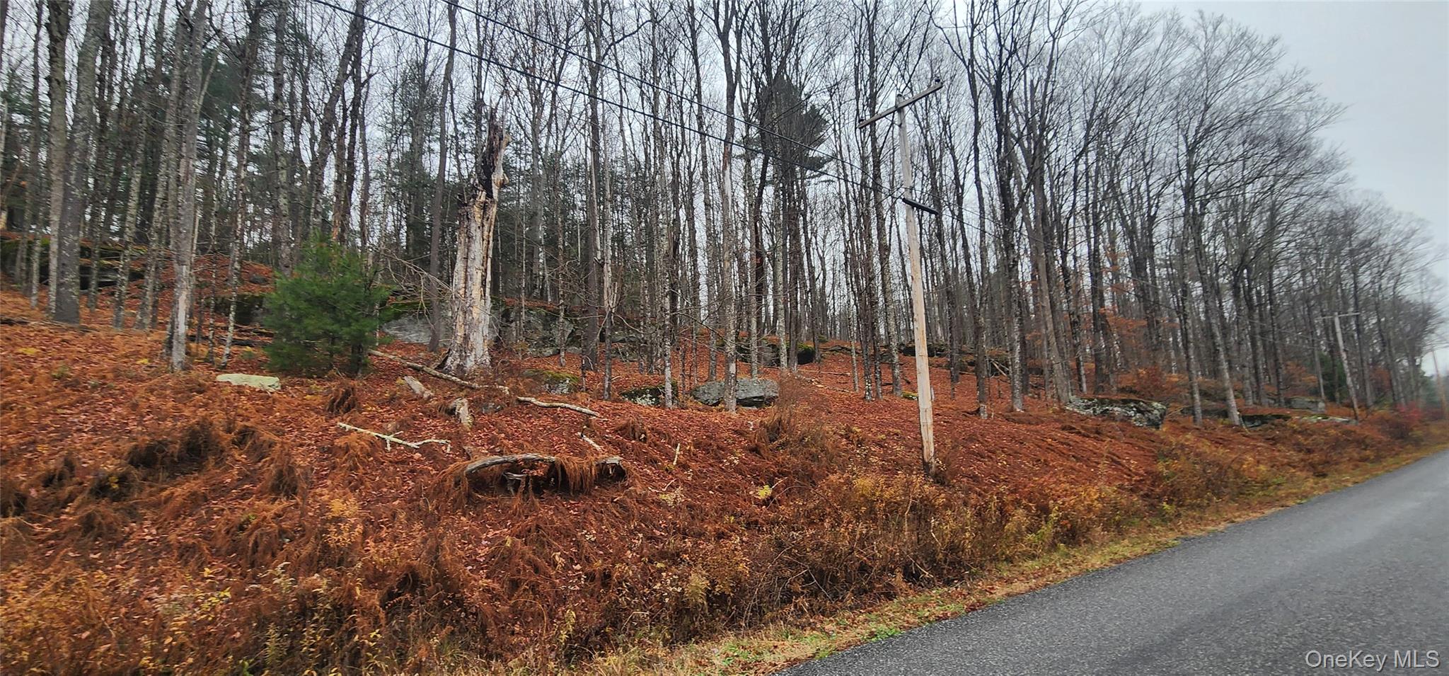 Thompson Road, Thompsonville, NY 12784