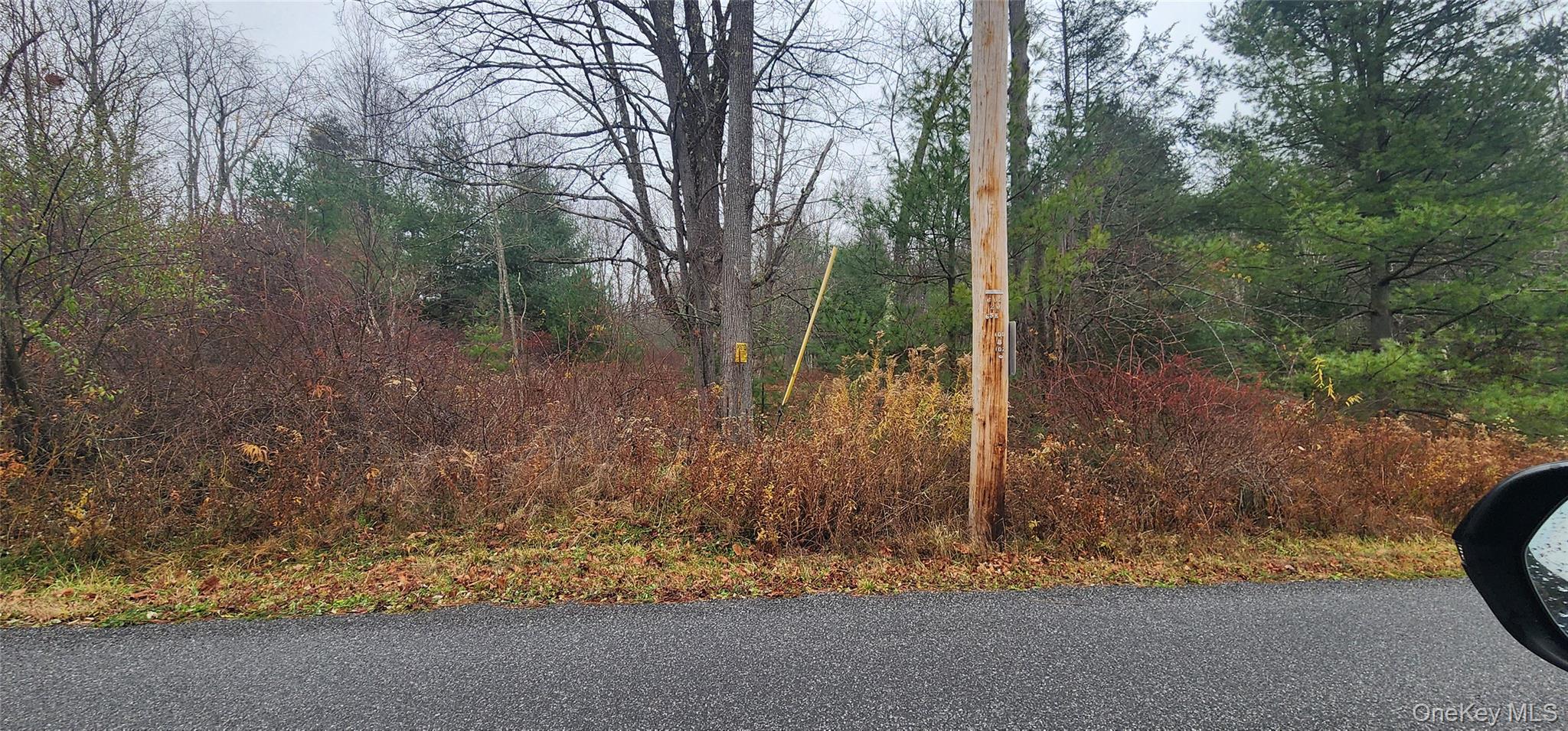 Thompson Road, Thompsonville, NY 12784