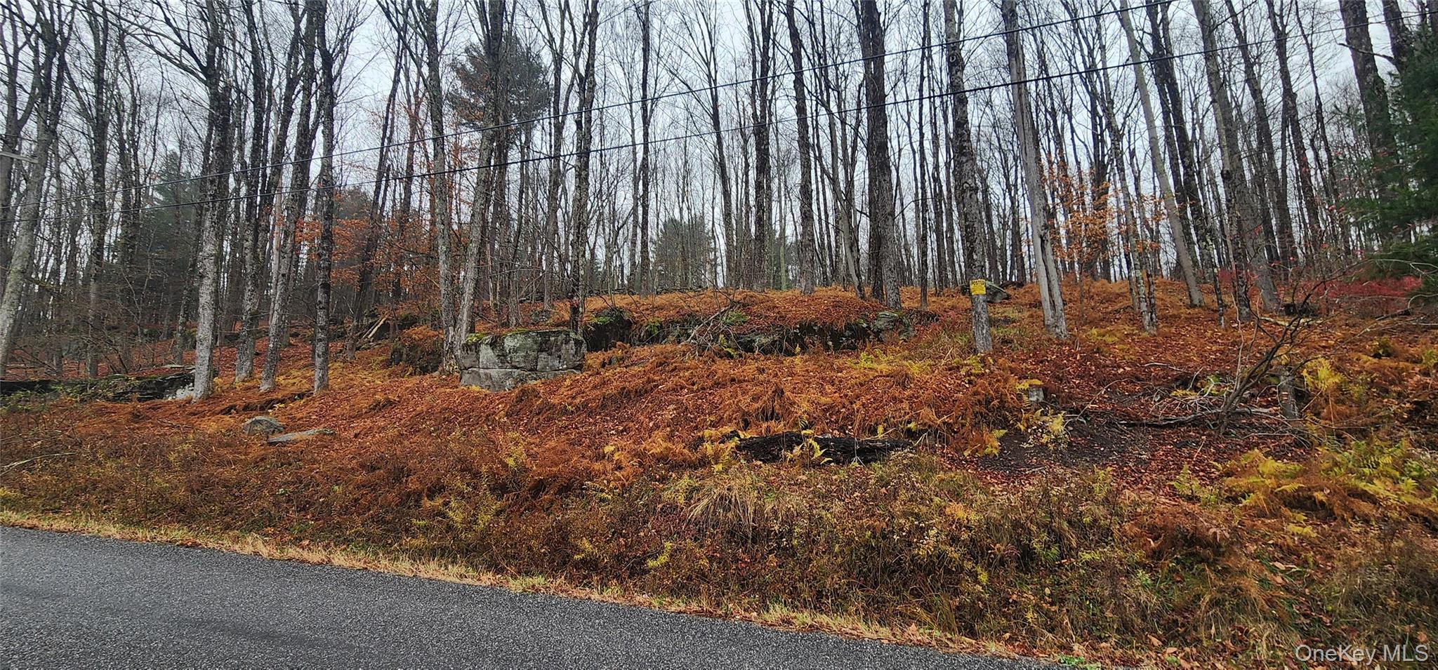 Thompson Road, Thompsonville, NY 12784