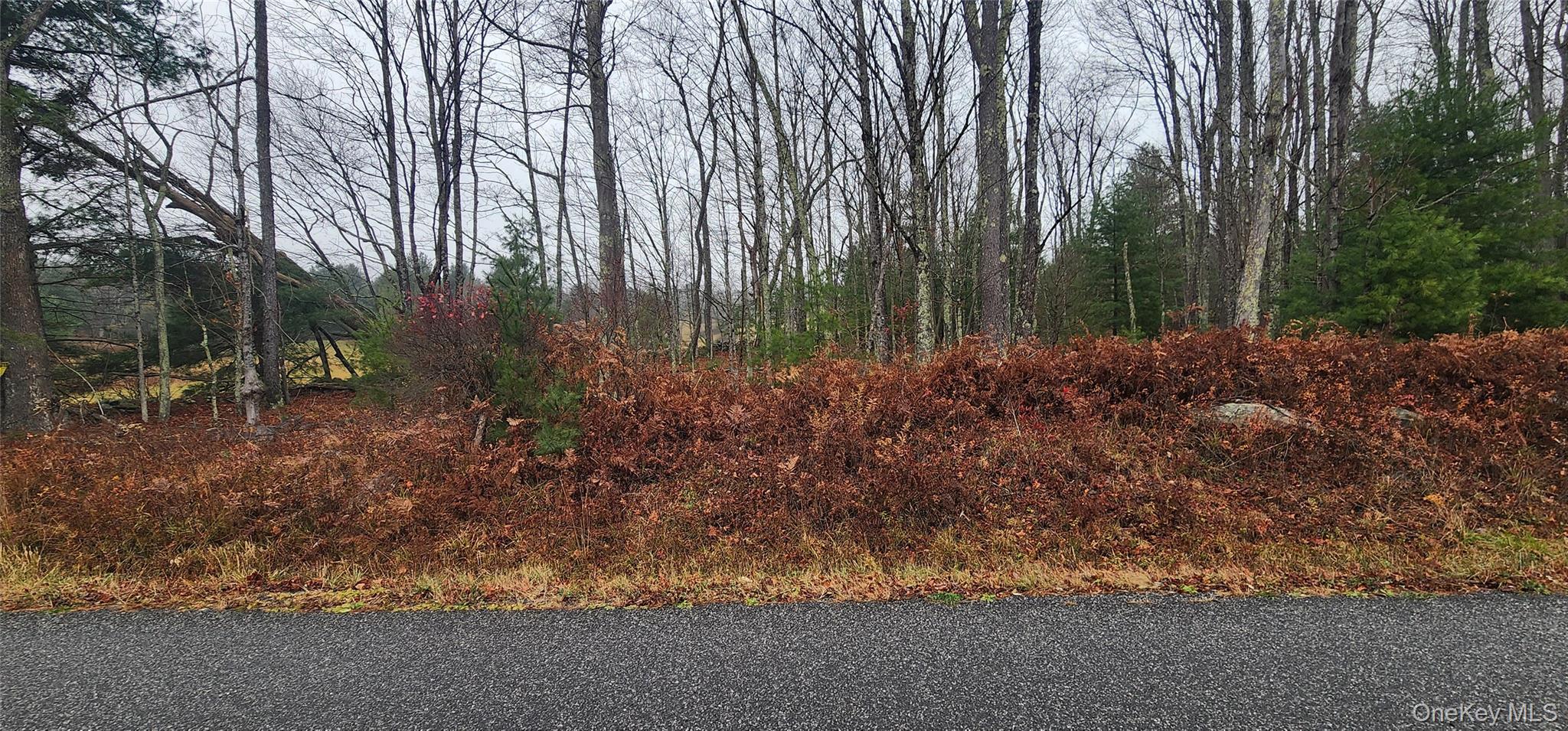 Thompson Road, Thompsonville, NY 12784