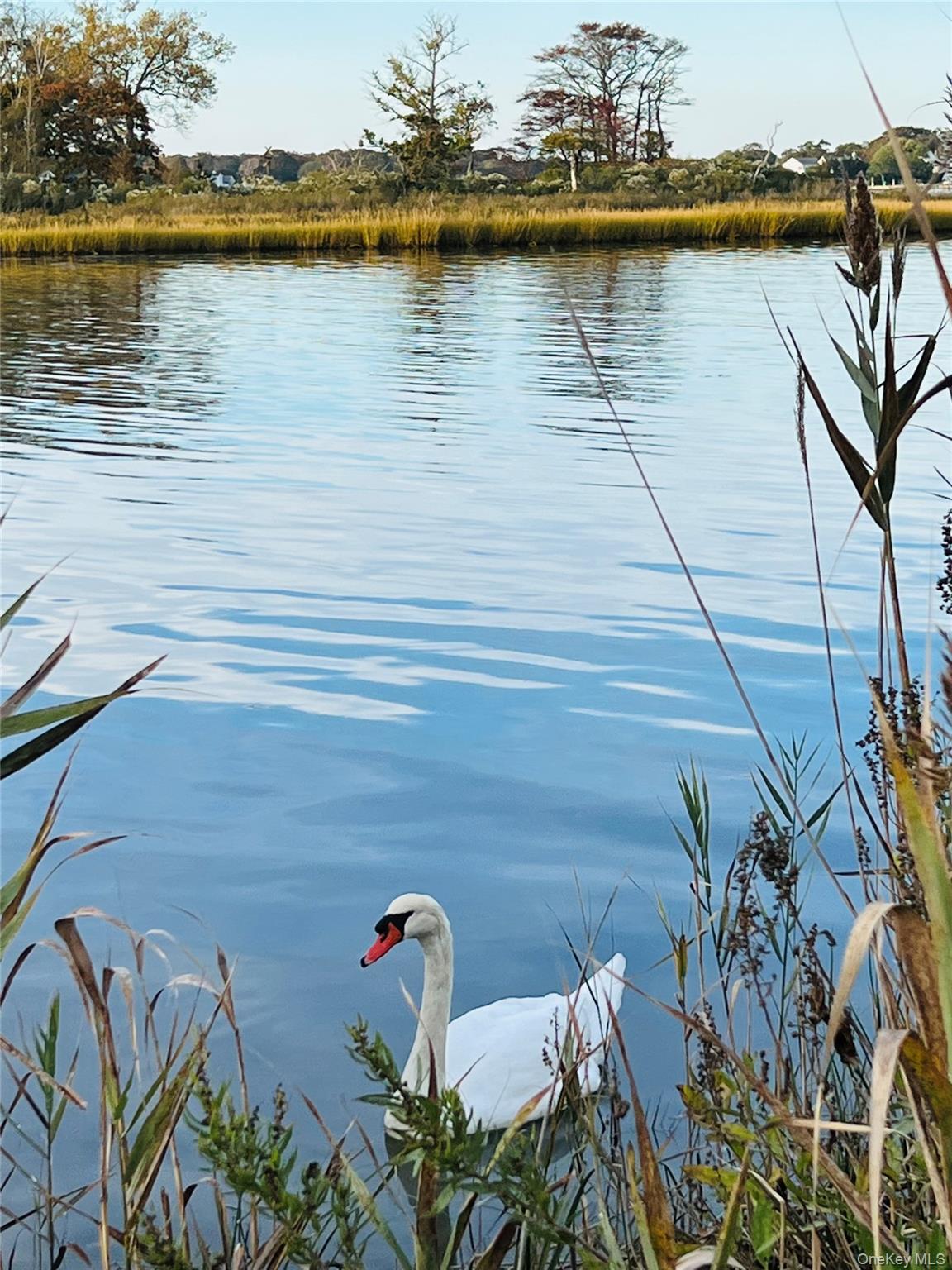 23 Wavecrest Drive, Mastic Beach, NY 11951