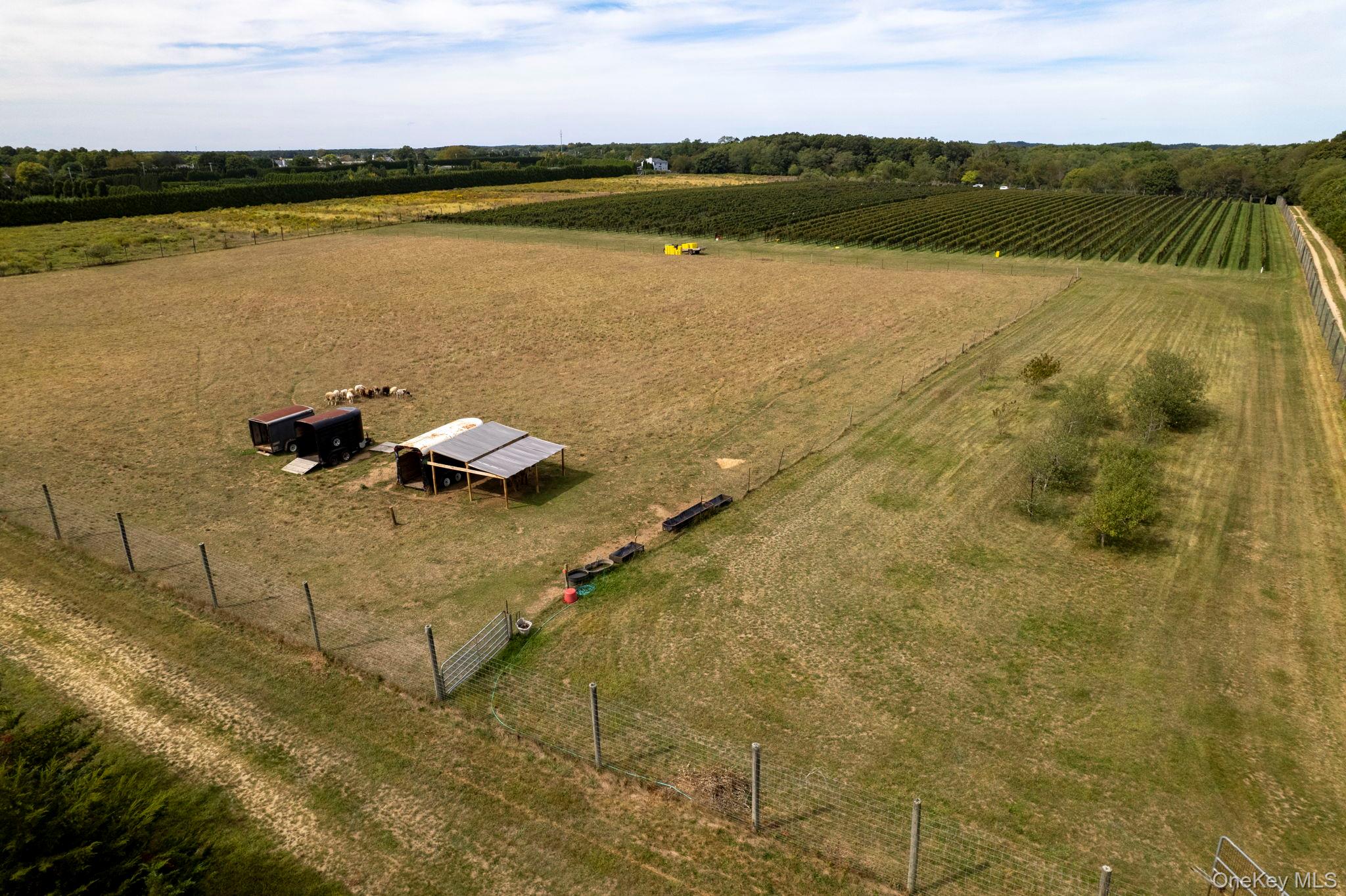 156 Youngs Avenue, Calverton, NY 11933