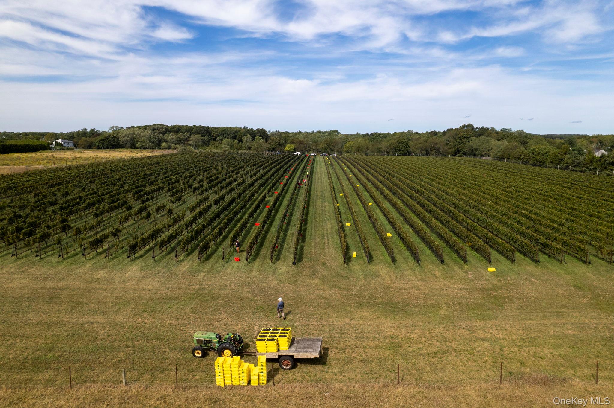 156 Youngs Avenue, Calverton, NY 11933