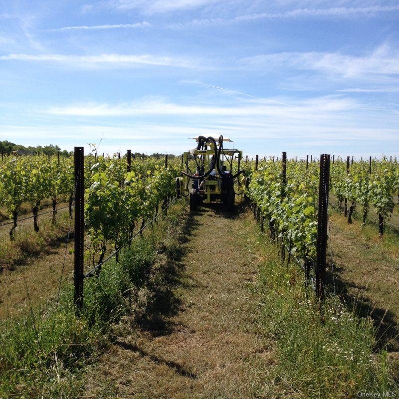 156 Youngs Avenue, Calverton, NY 11933