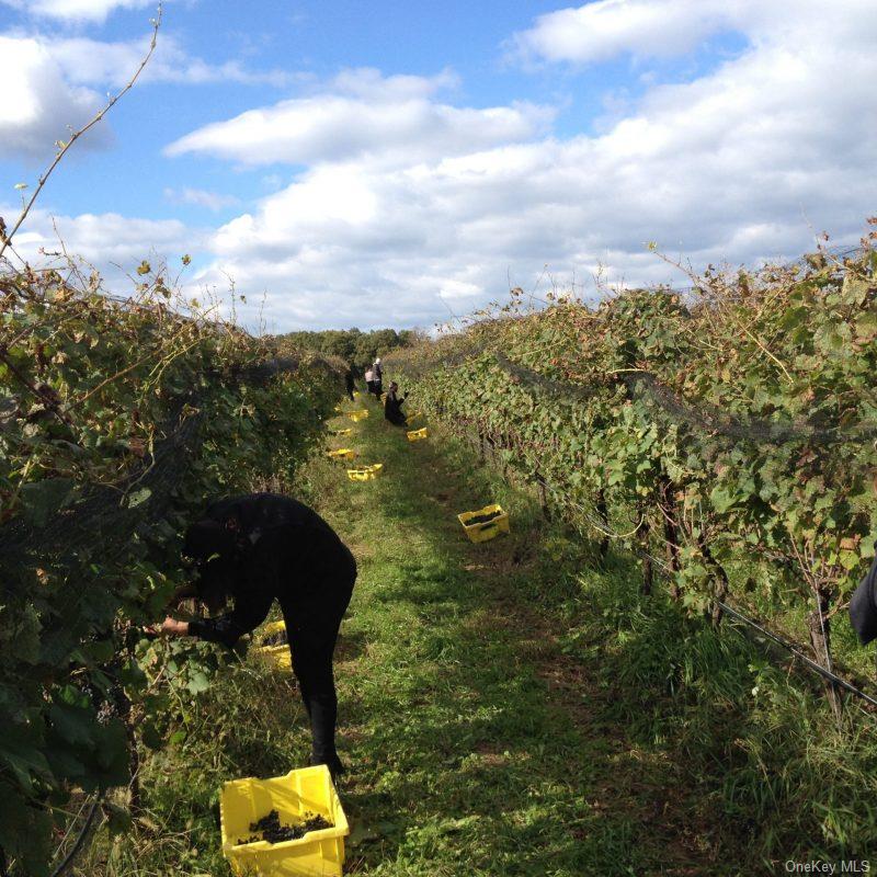 156 Youngs Avenue, Calverton, NY 11933