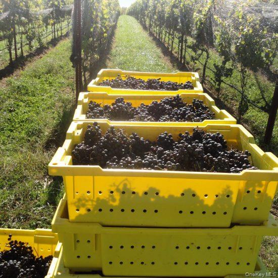 156 Youngs Avenue, Calverton, NY 11933