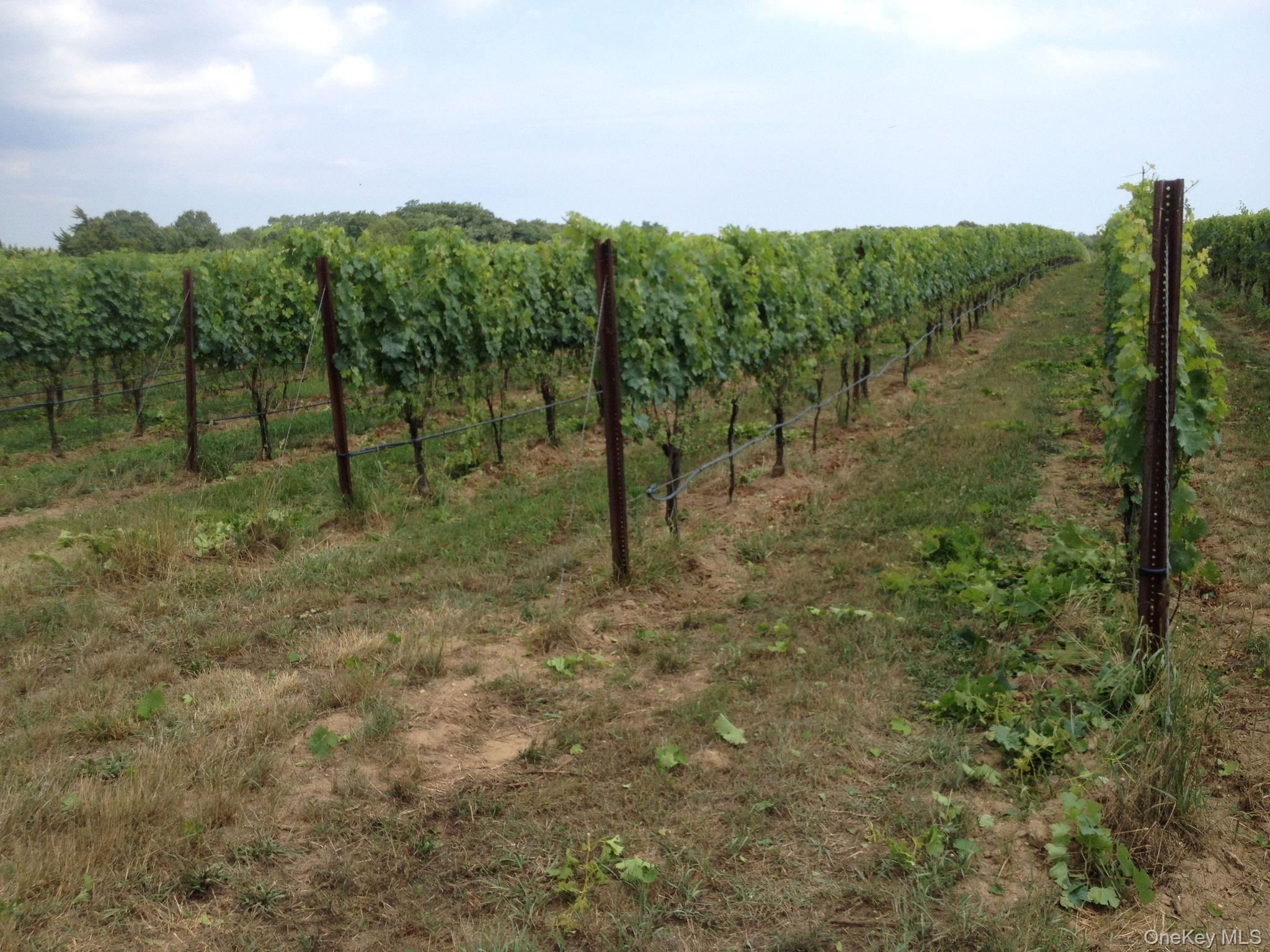 156 Youngs Avenue, Calverton, NY 11933