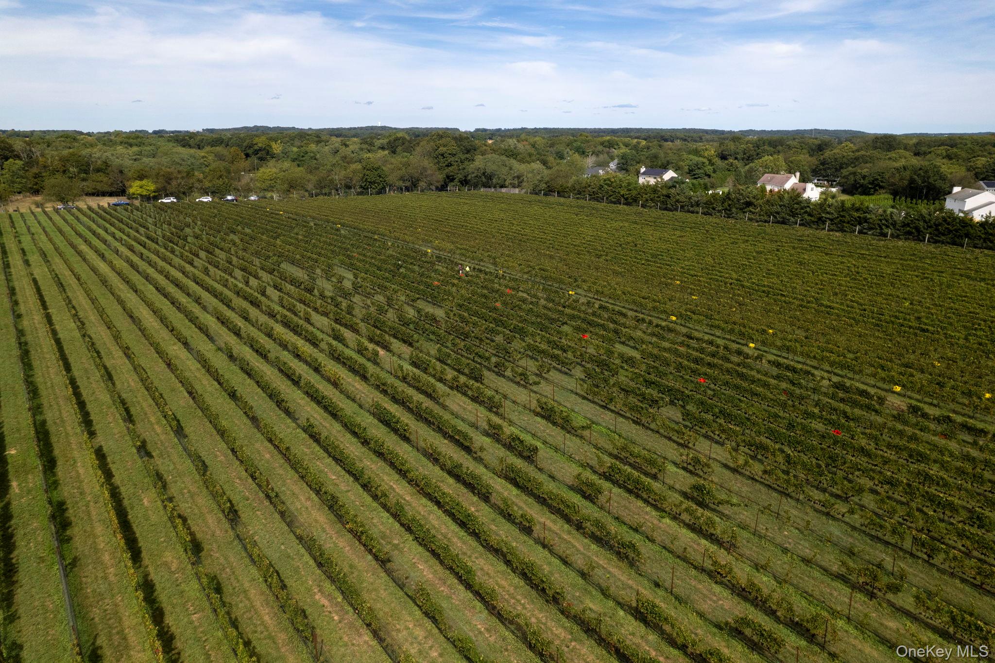 156 Youngs Avenue, Calverton, NY 11933