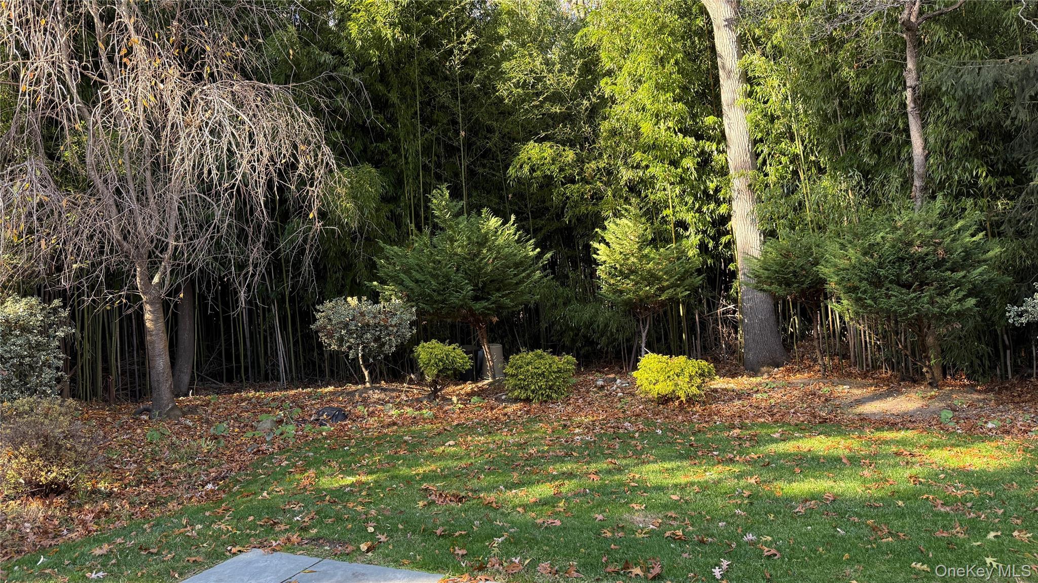 89 Sawtooth Cove, Port Jefferson, NY 11777