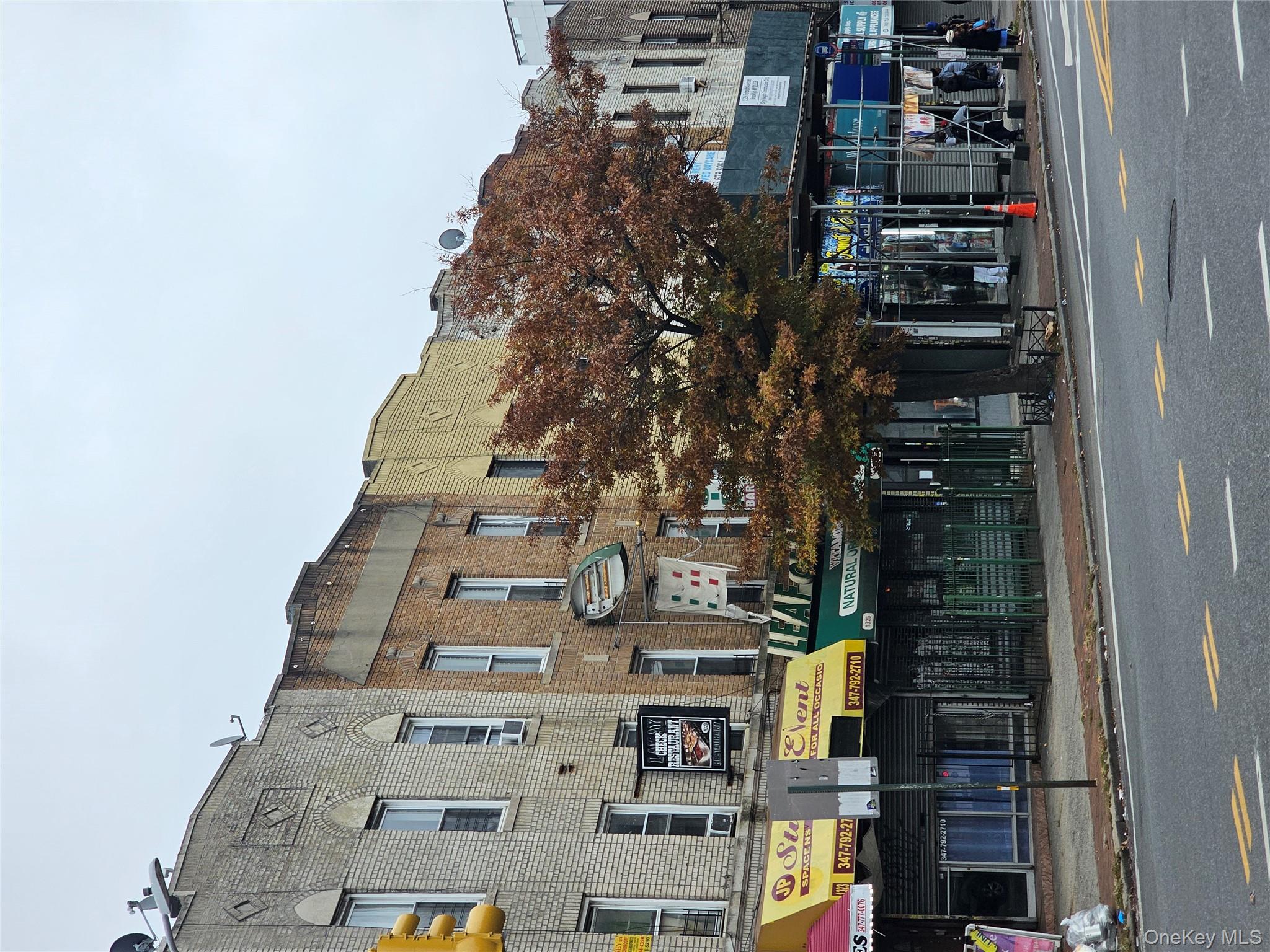 1325 Flatbush Avenue, Brooklyn, NY 11226