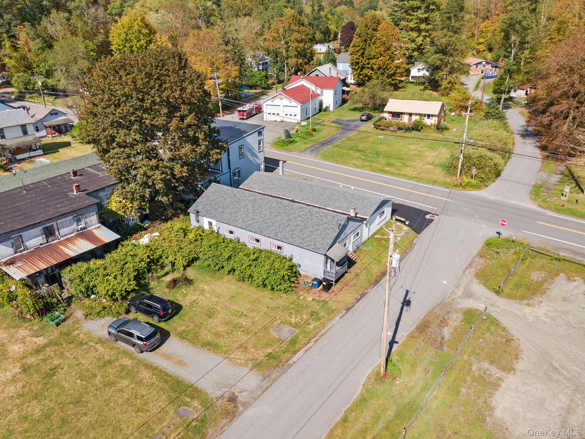 11625 State Route 97, Long Eddy, NY 12760