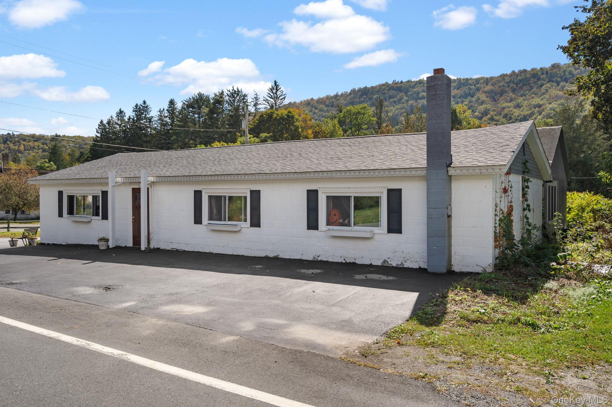 11625 State Route 97, Long Eddy, NY 12760