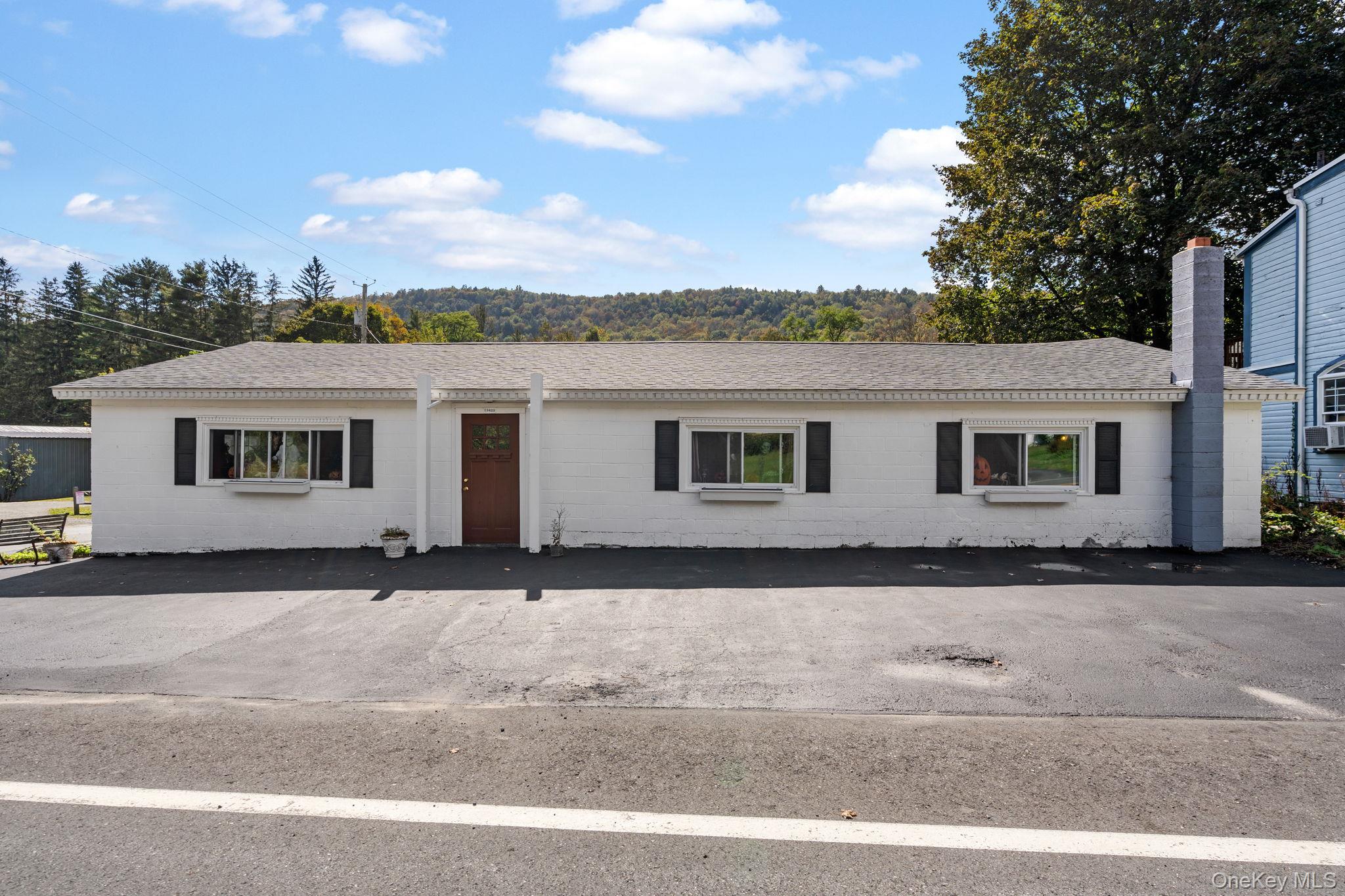 11625 State Route 97, Long Eddy, NY 12760