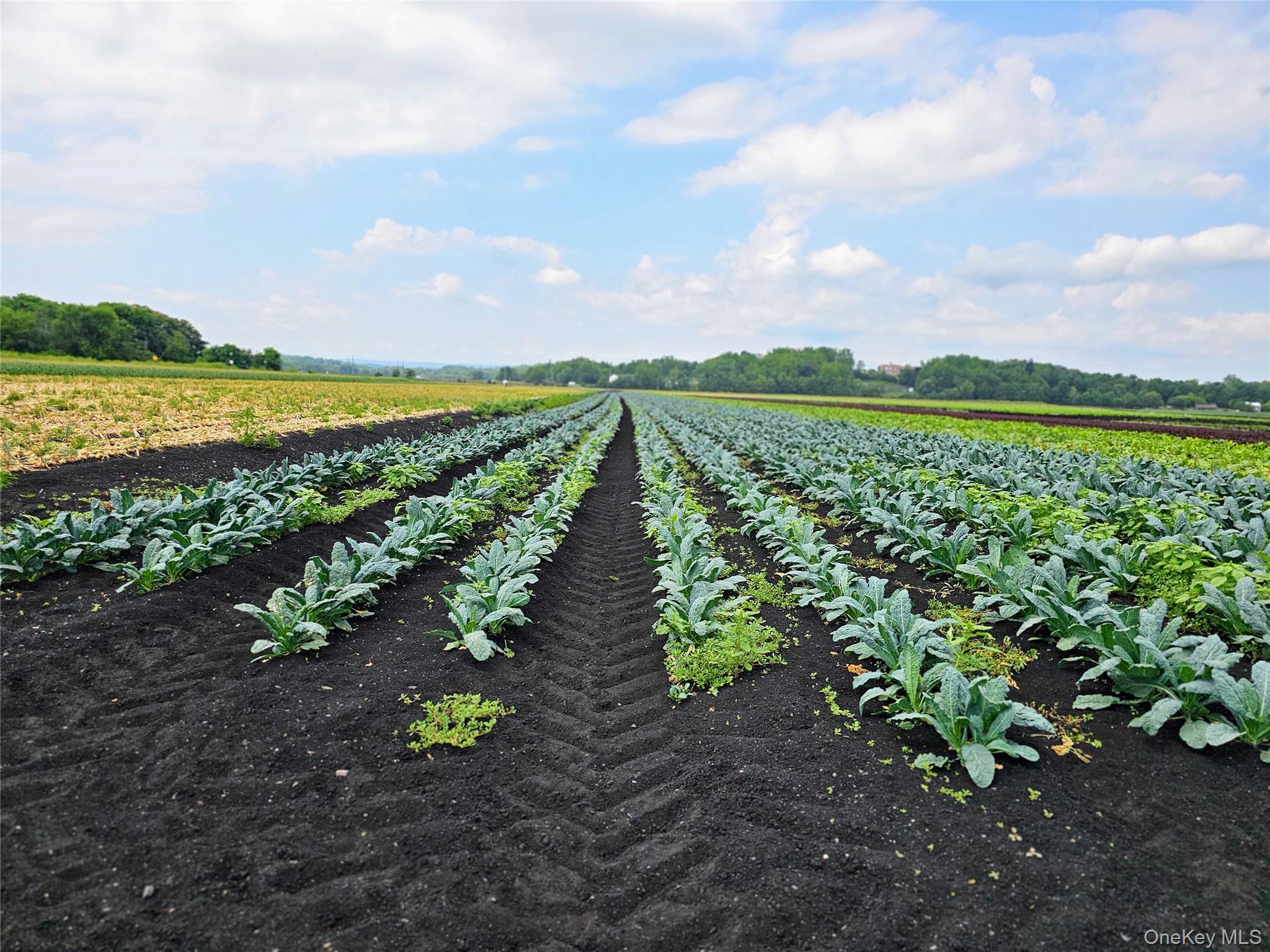 67-71-73 Little York Road, Warwick, NY 10990