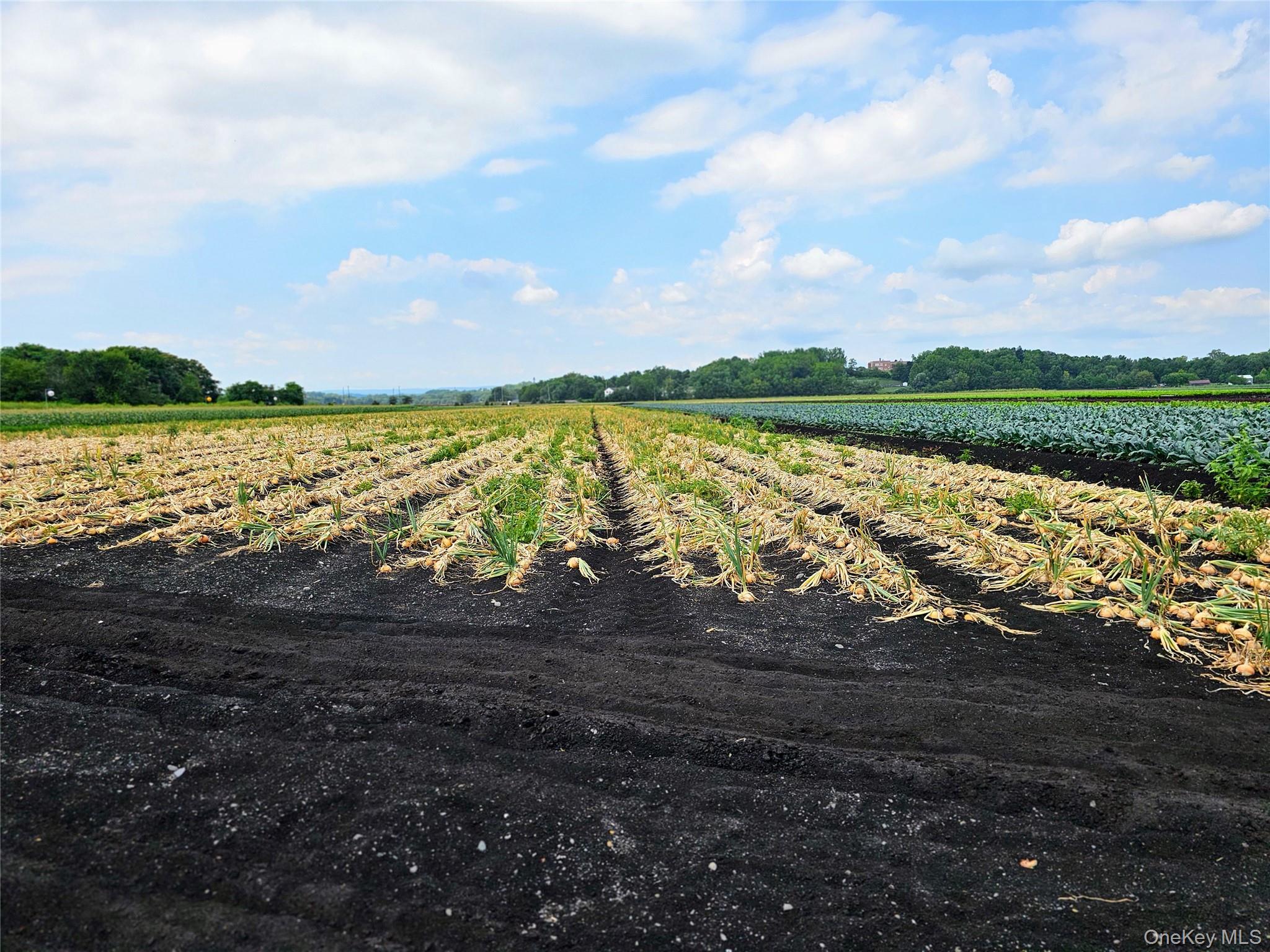 67-71-73 Little York Road, Warwick, NY 10990