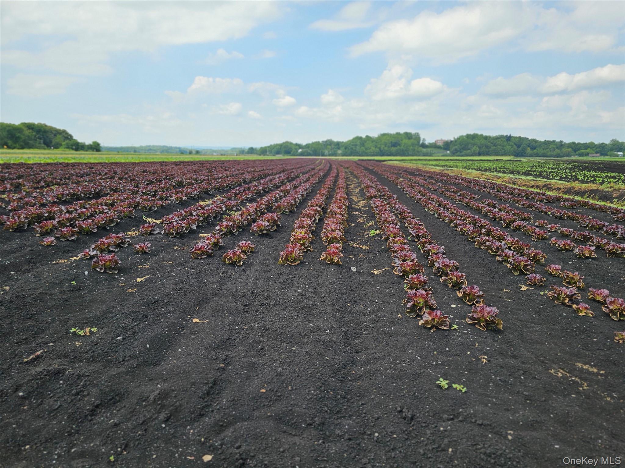 67-71-73 Little York Road, Warwick, NY 10990