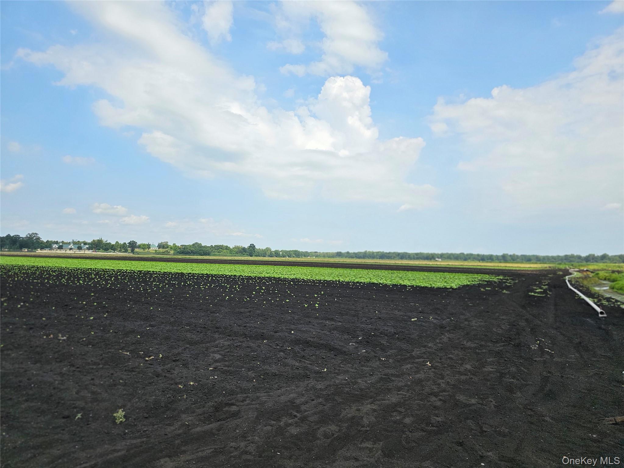 67-71-73 Little York Road, Warwick, NY 10990