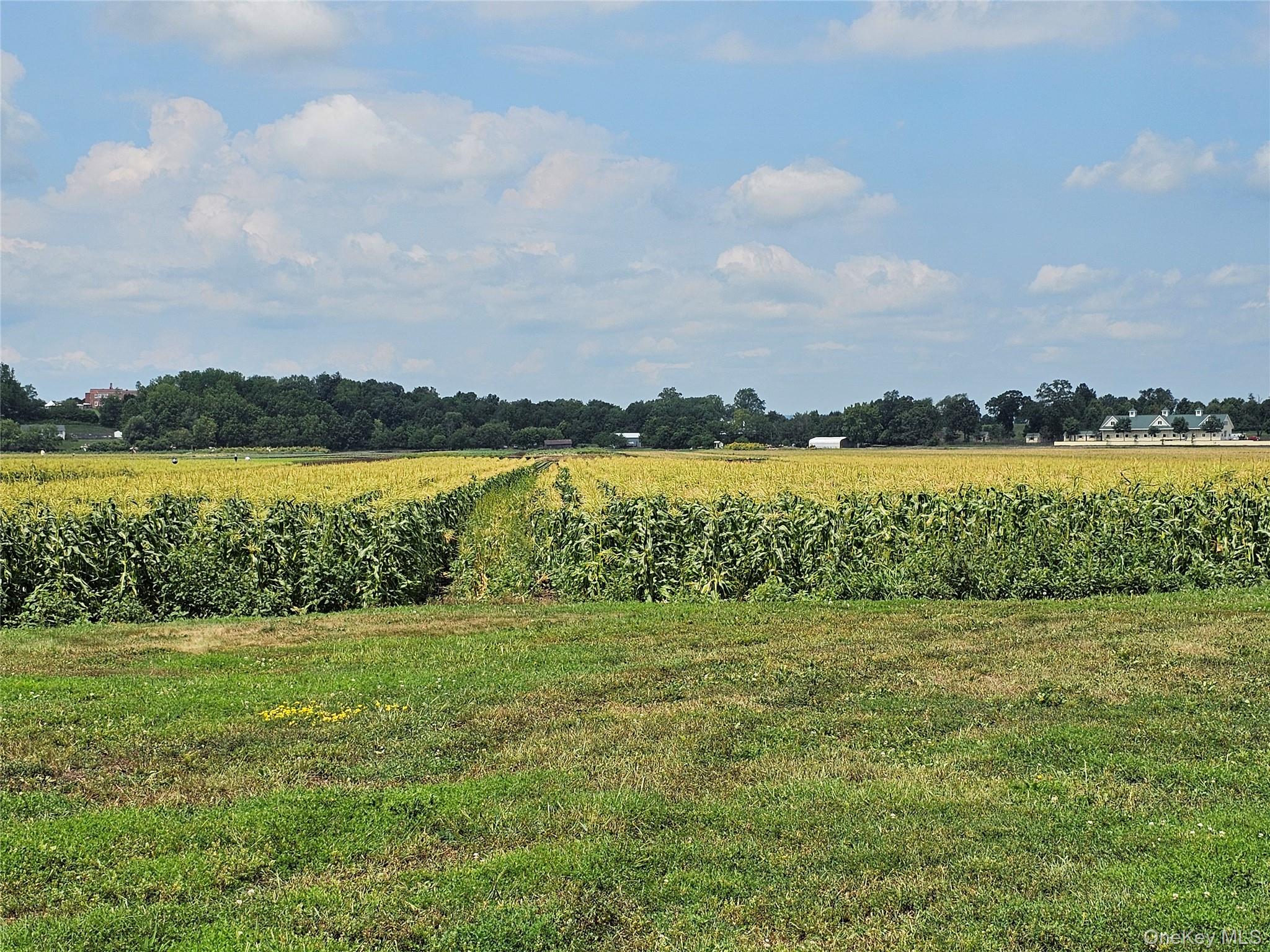 67-71-73 Little York Road, Warwick, NY 10990