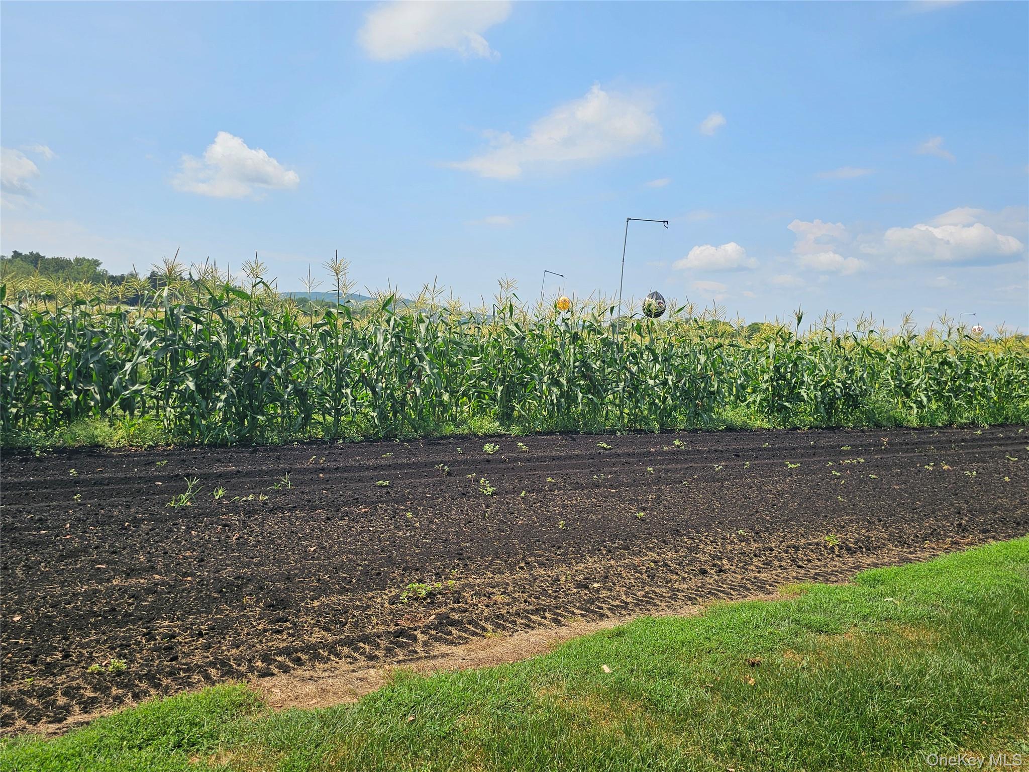 67-71-73 Little York Road, Warwick, NY 10990