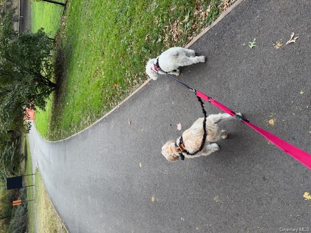 382 Central Park W # 16U, New York (Manhattan), NY 10025