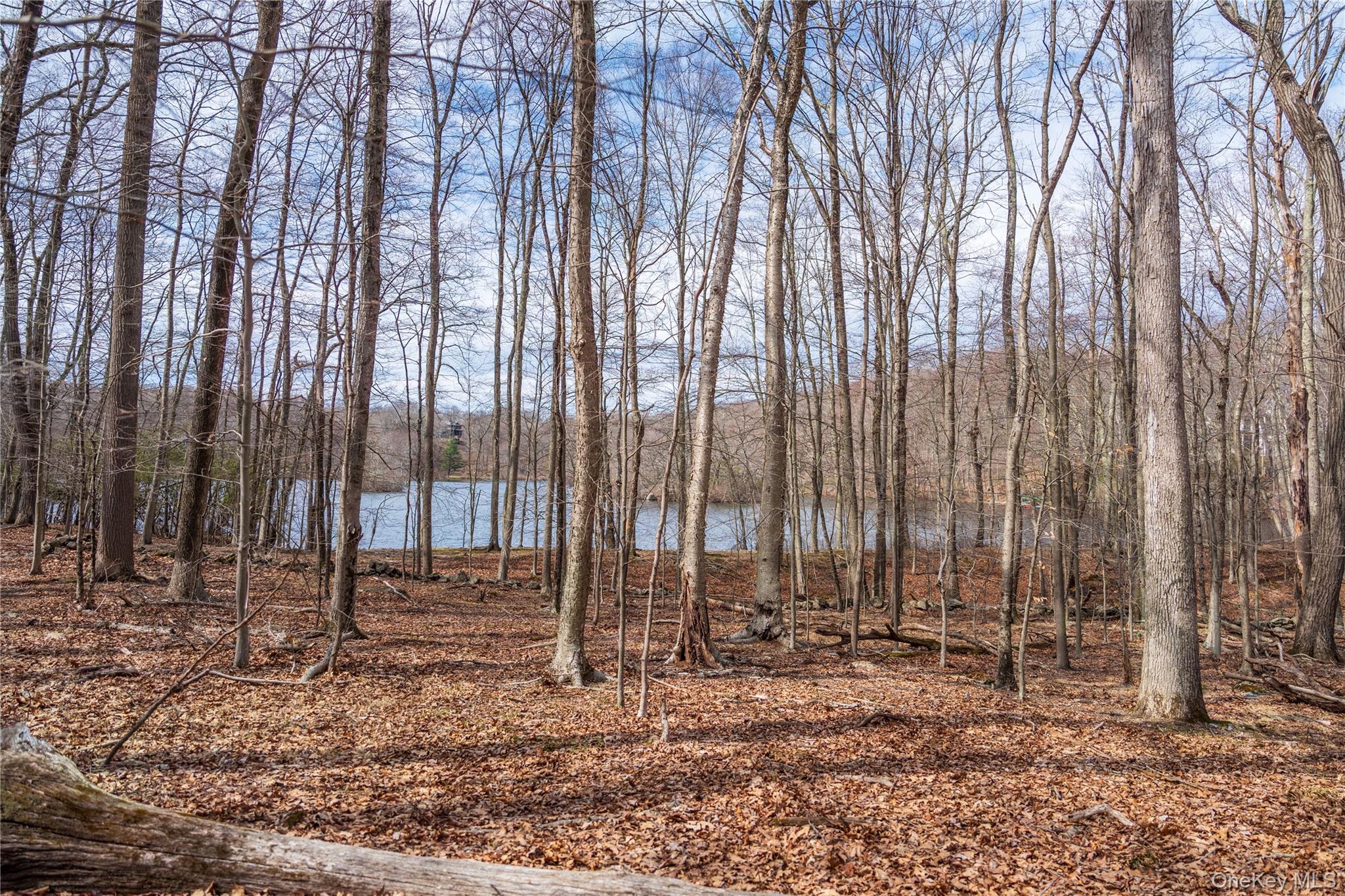 32 Joshua Hobby Lane, Pound Ridge, NY 10576