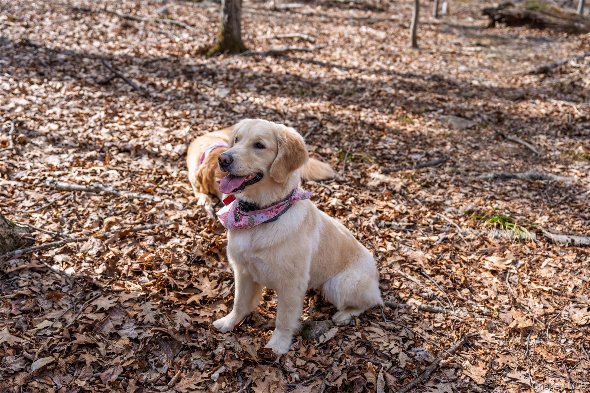 32 Joshua Hobby Lane, Pound Ridge, NY 10576