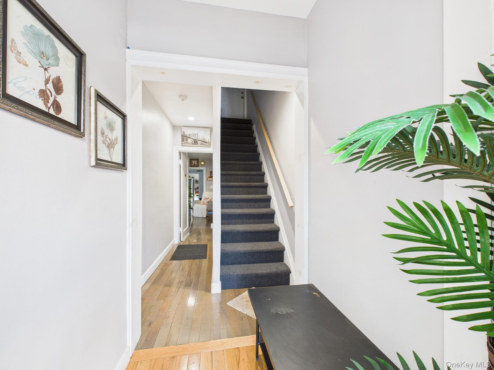 3234 Paulding Avenue, Bronx, NY 10469