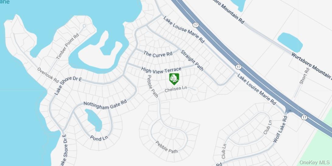 Chelsea Lane, Rock Hill, NY 12775