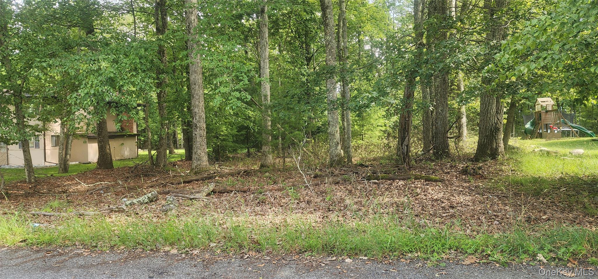 Chelsea Lane, Rock Hill, NY 12775