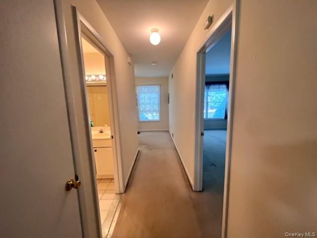 310 Jersey Avenue # 5, Greenwood Lake, NY 10925