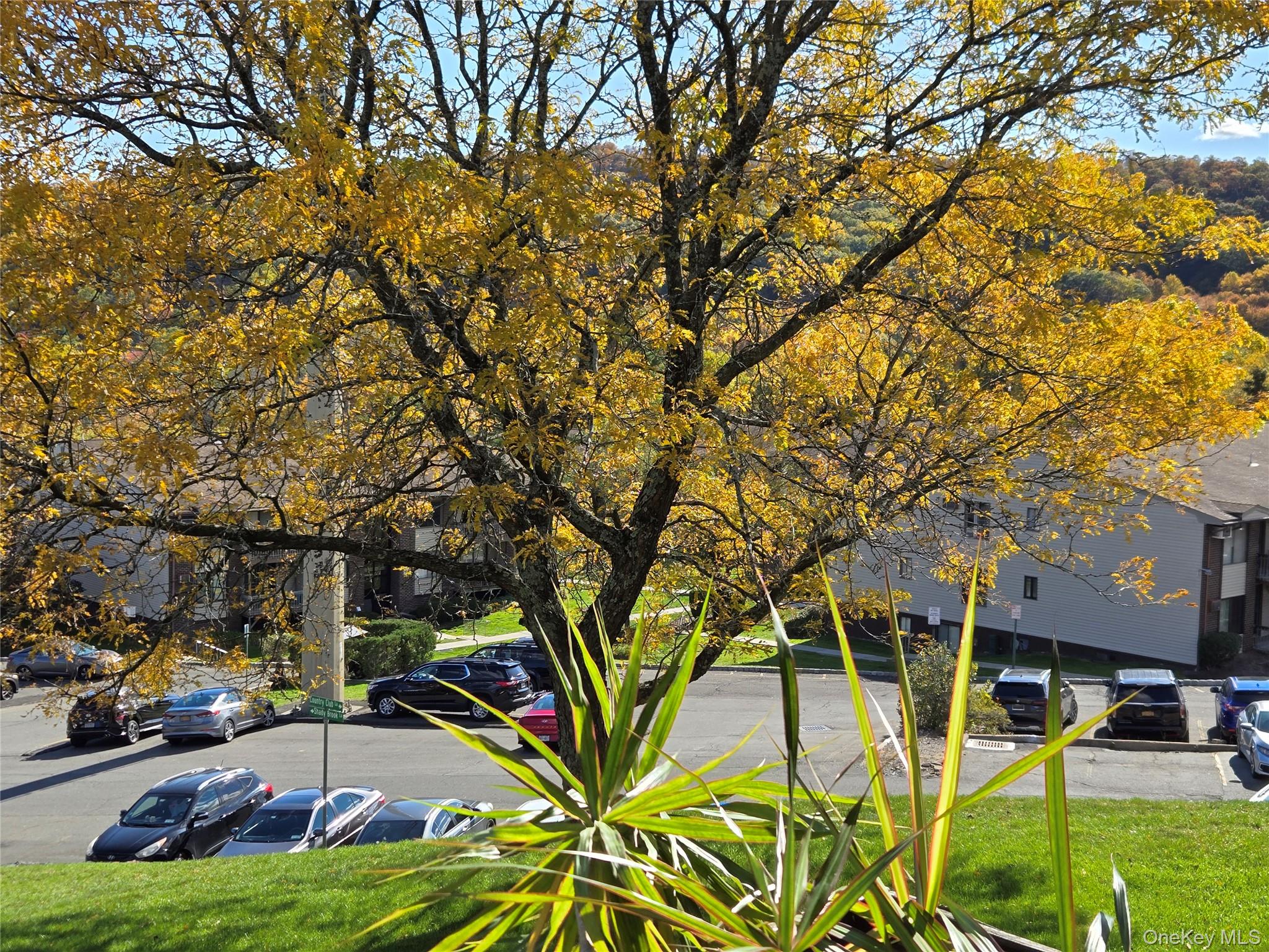 174 Country Club Lane, Pomona, NY 10970