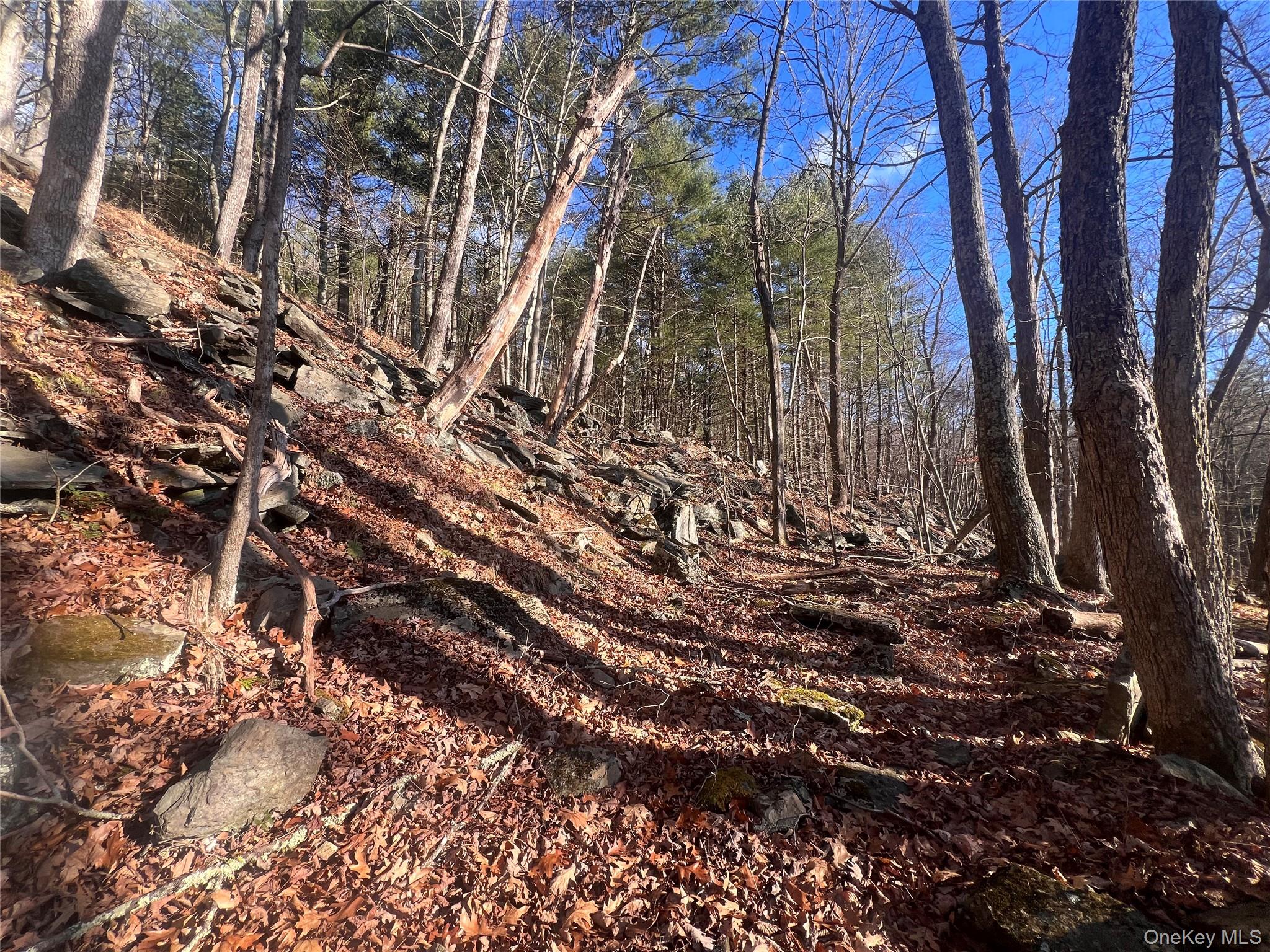 Hankins Rd, Narrowsburg, NY 12764