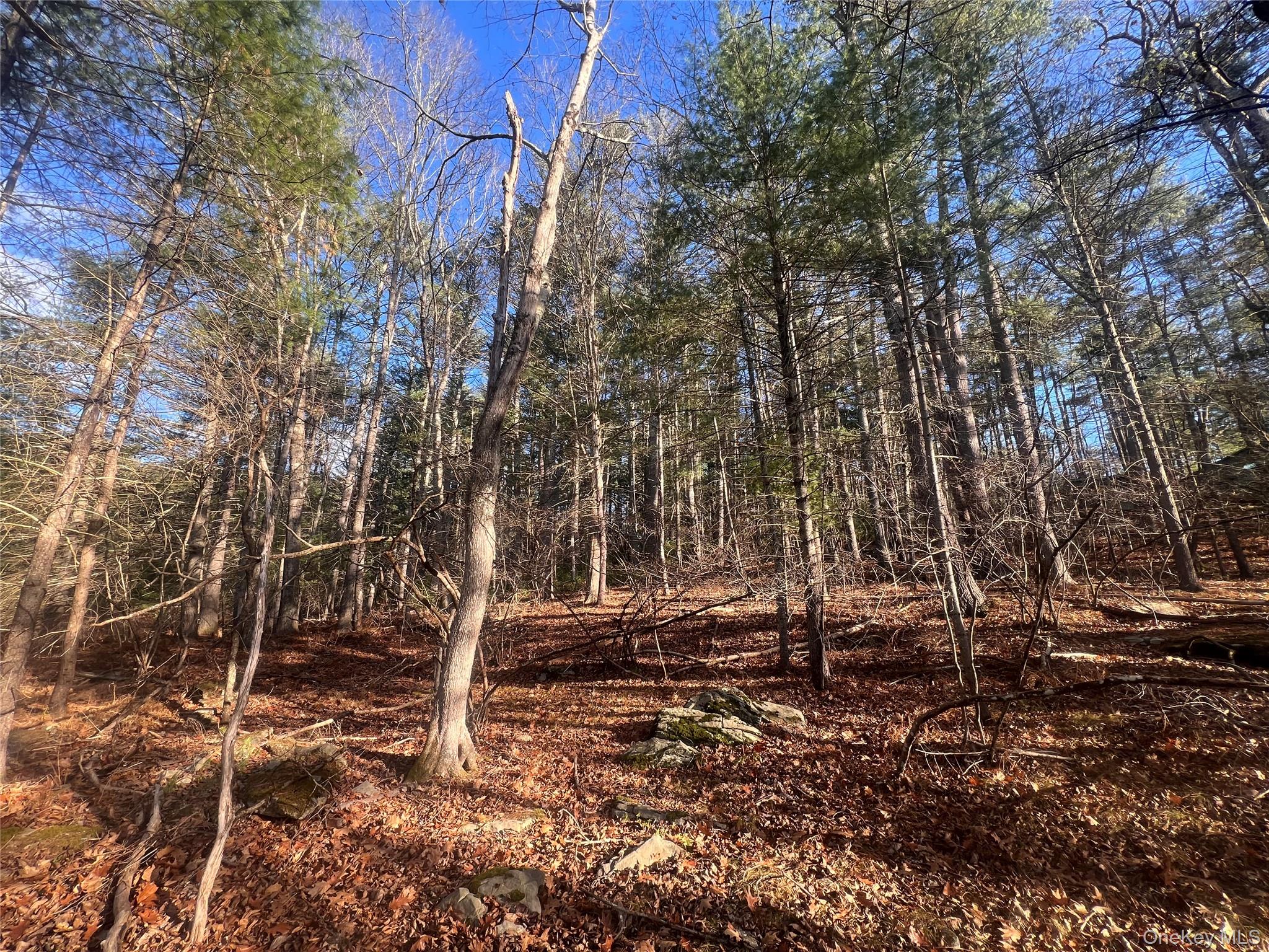 Hankins Rd, Narrowsburg, NY 12764