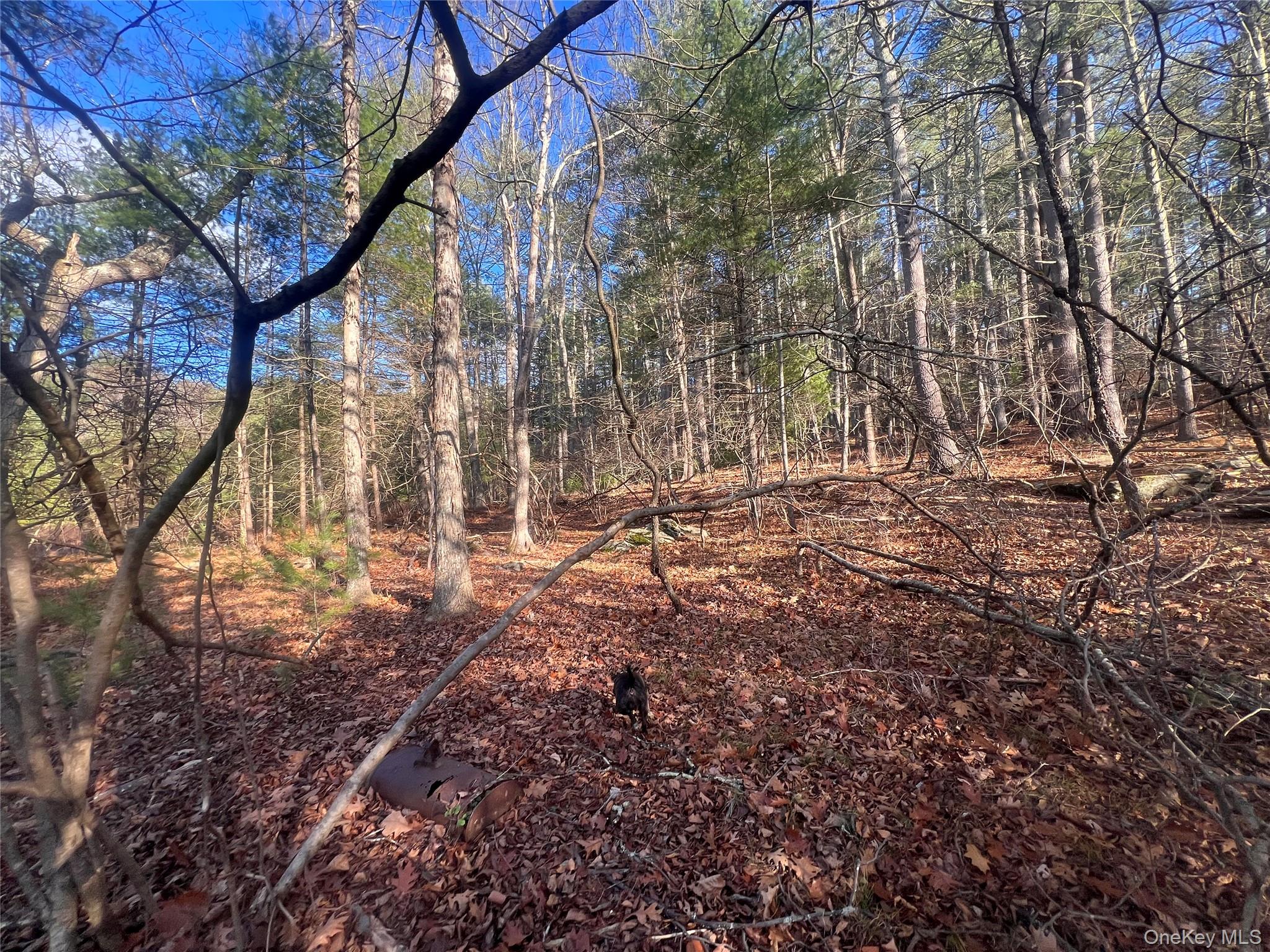 Hankins Rd, Narrowsburg, NY 12764