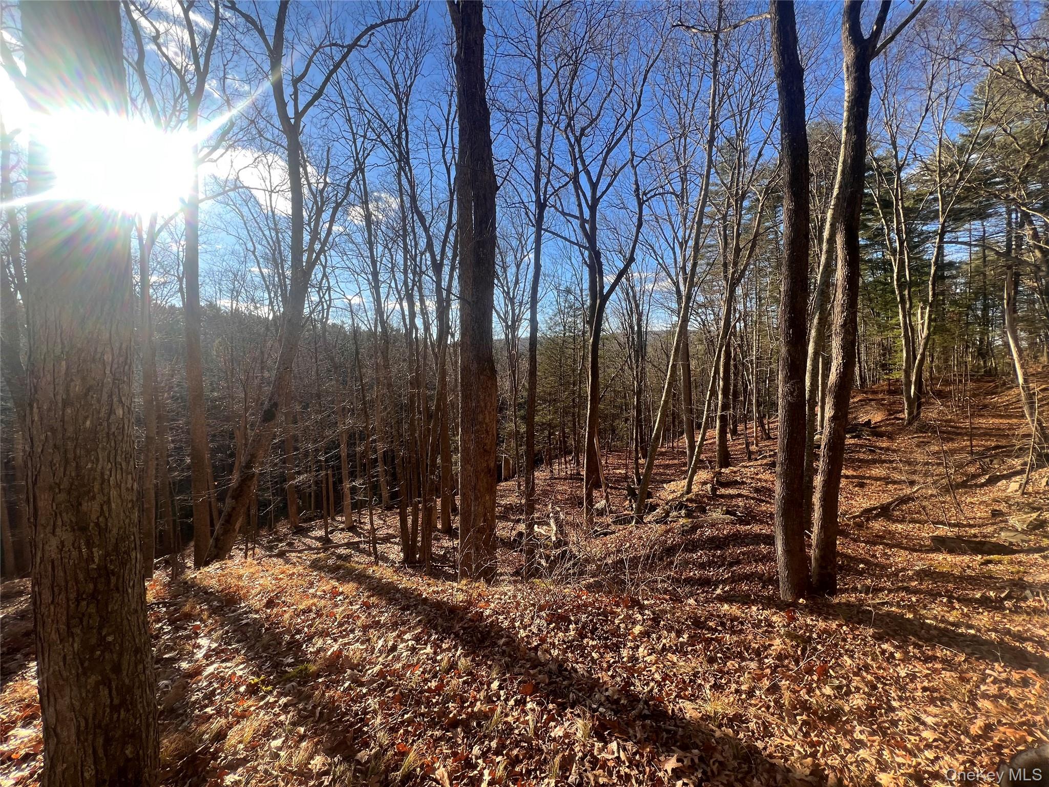 Hankins Rd, Narrowsburg, NY 12764