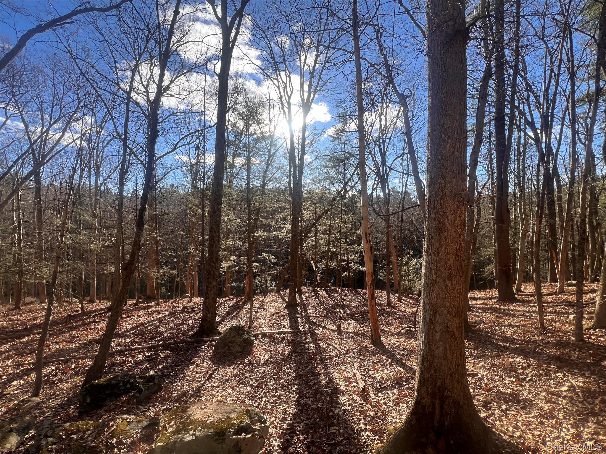 Hankins Rd, Narrowsburg, NY 12764